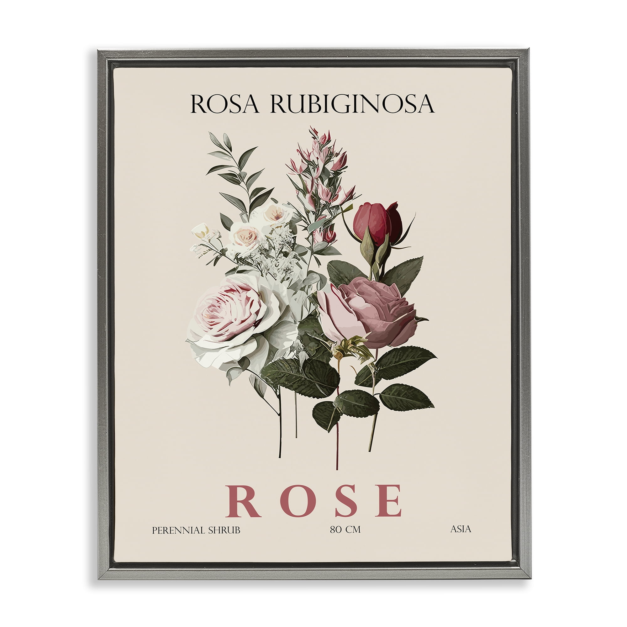 Stupell Industries Natural Rose Bundle Gray Framed Floater Canvas Wall Art, design by Christopher Giampietro