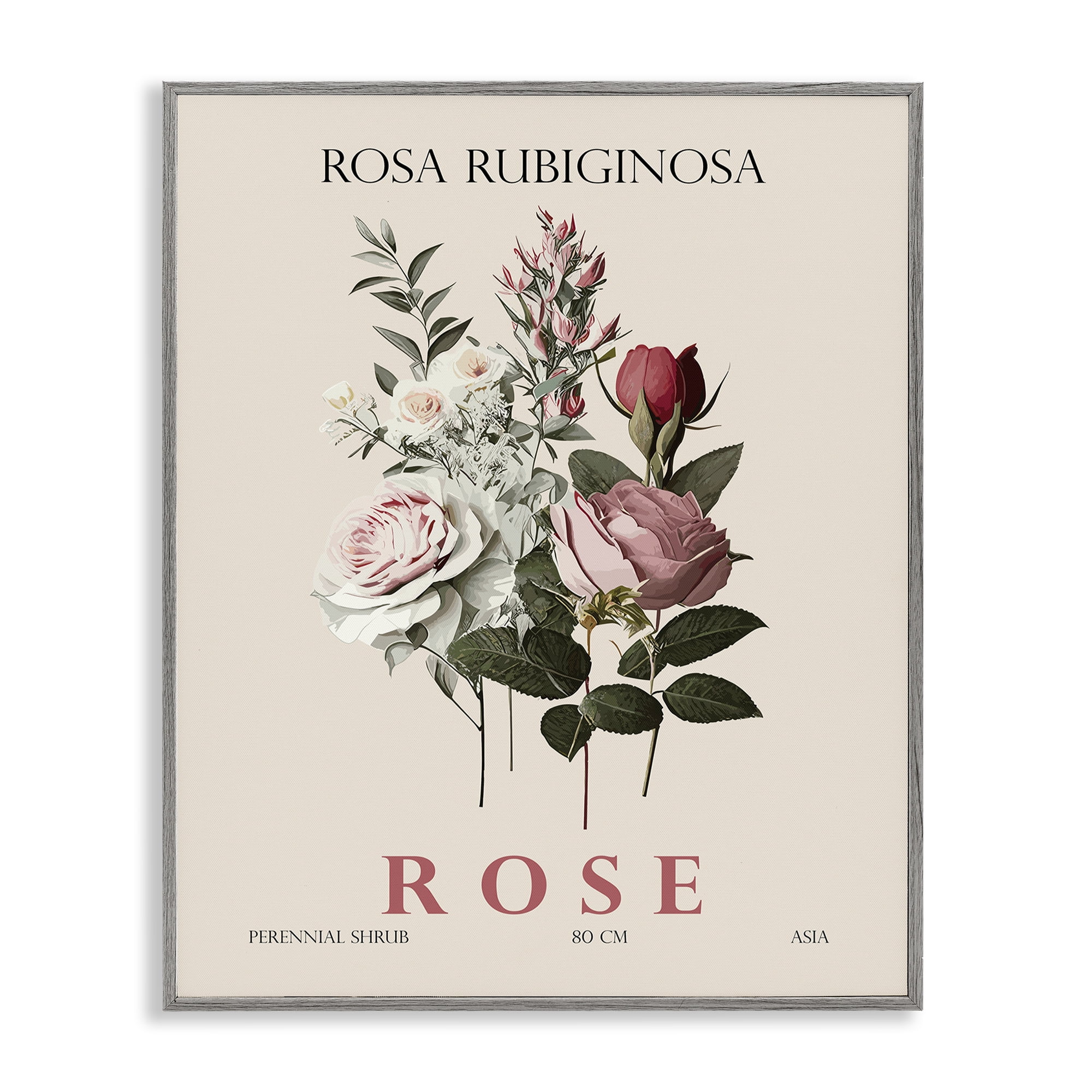Stupell Industries Natural Rose Bundle Gray Framed Giclee Art, design by Christopher Giampietro