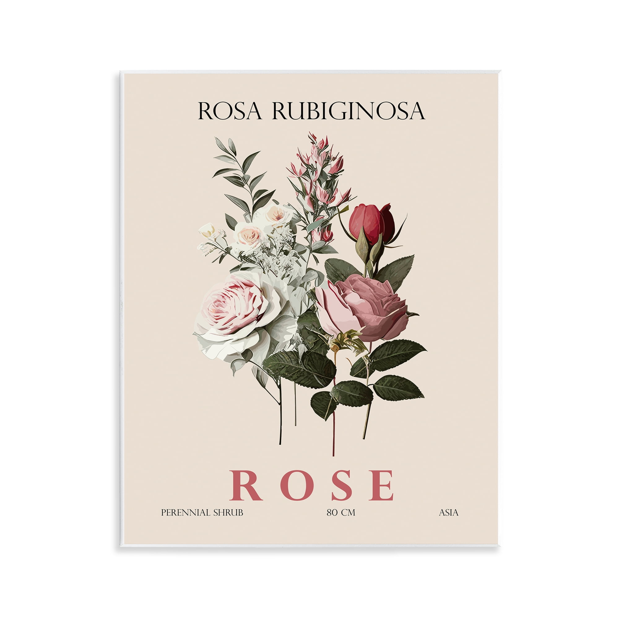 Stupell Industries Natural Rose Bundle Wall Plaque Art, design by Christopher Giampietro