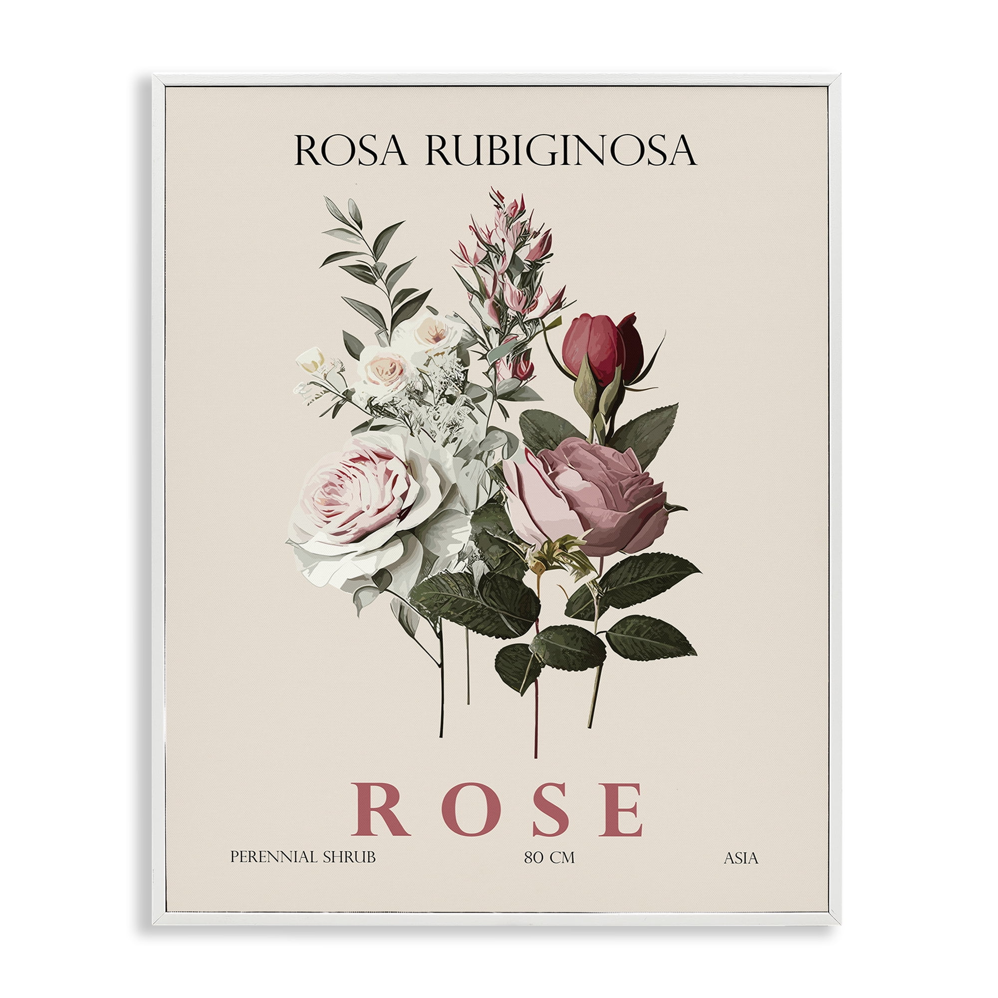 Stupell Industries Natural Rose Bundle White Framed Giclee Art, design by Christopher Giampietro
