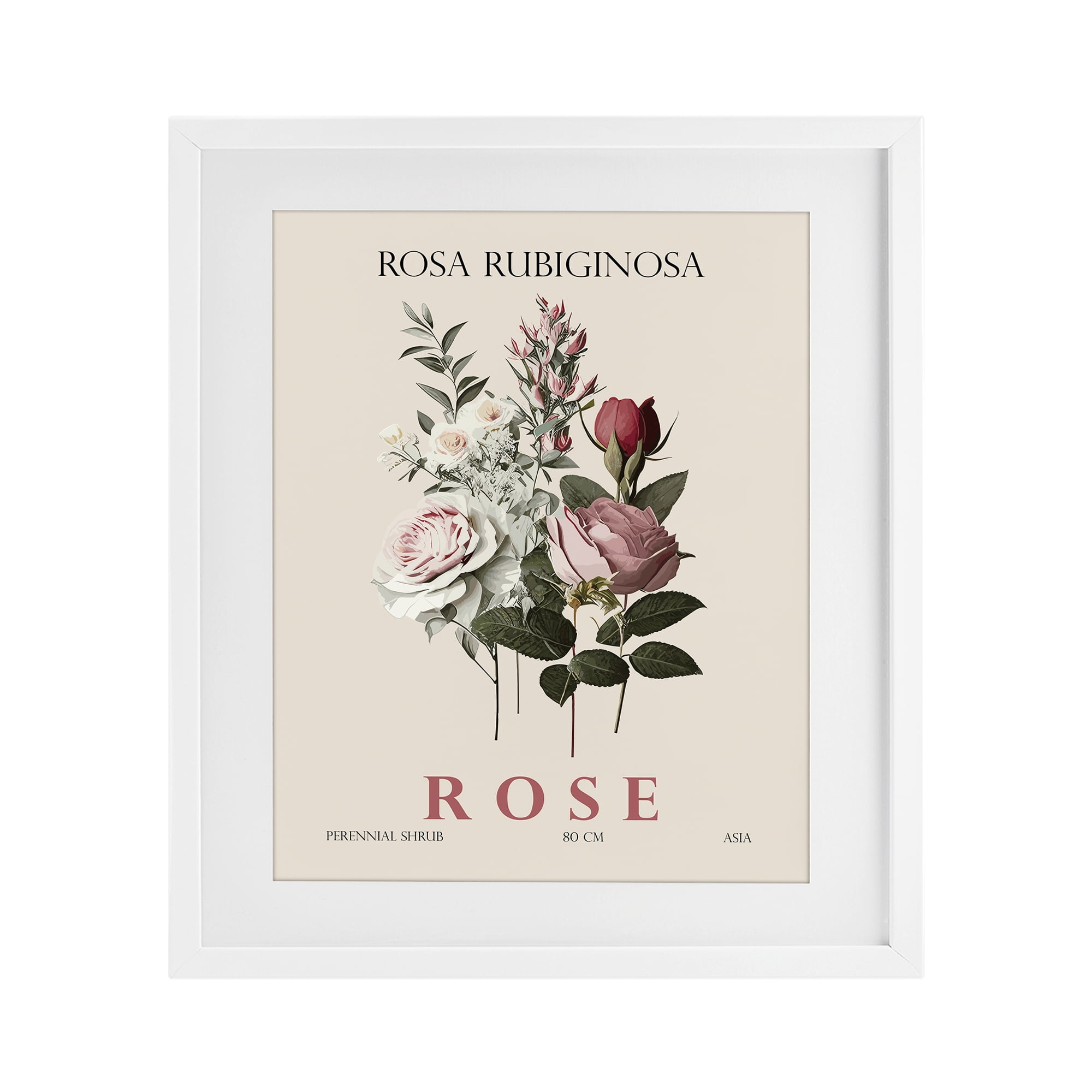 Stupell Industries Natural Rose Bundle White Framed Print Under Glass, design by Christopher Giampietro