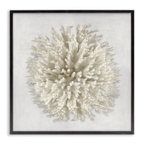 Stupell Industries Natural Round Coral Animals Painting Black Framed Art Print Wall Art, 12 x 12