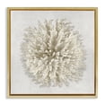 thumbnail image 1 of Stupell Industries Coastal Natural Round Coral Gold Floating Frame Canvas Art, 25 x 25, by Caroline Kelly, 1 of 7