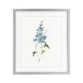 thumbnail image 1 of Stupell Industries Transitional Natural Spring Herbs Gray Framed Print Under Glass, 13 x 16, by Sally Swatland, 1 of 8