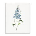 thumbnail image 1 of Stupell Industries Transitional Natural Spring Herbs White Framed Giclee Art, 11 x 14, by Sally Swatland, 1 of 8