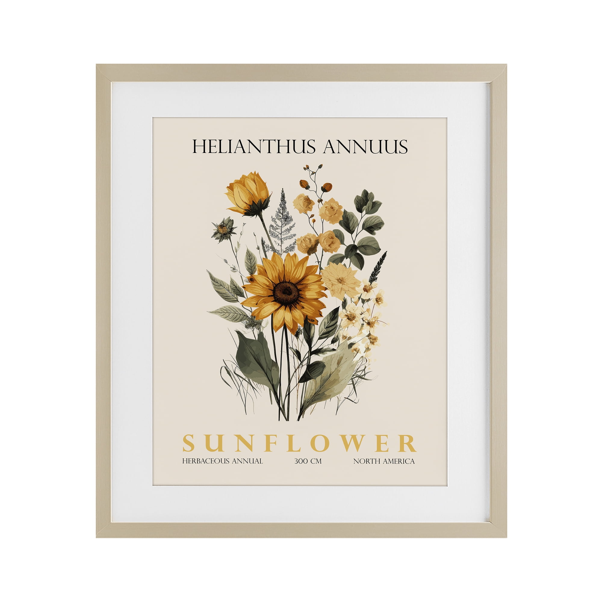 Stupell Industries Natural Sunflower Bundle Birch Framed Print Under Glass, design by Christopher Giampietro