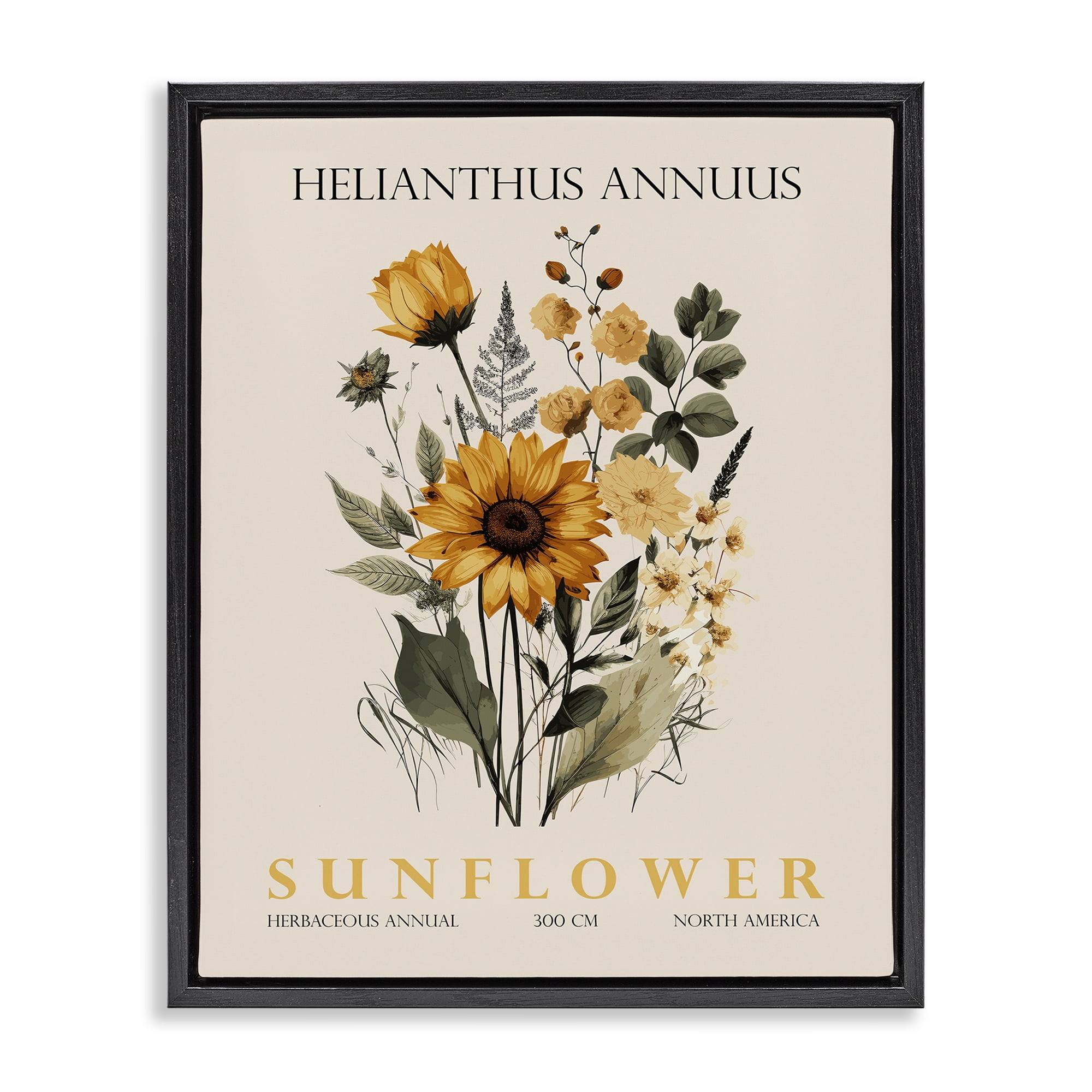 Stupell Industries Natural Sunflower Bundle Black Framed Floater Canvas Wall Art, design by Christopher Giampietro