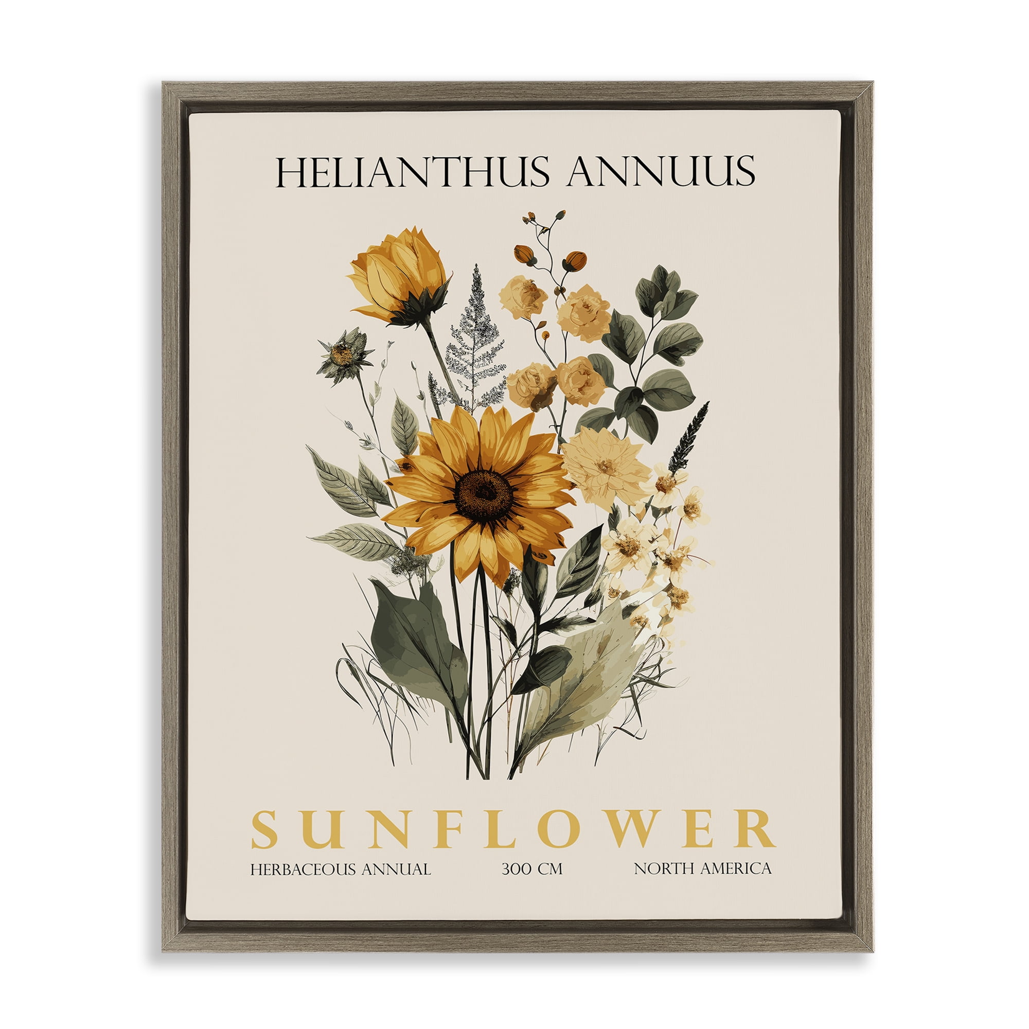 Stupell Industries Natural Sunflower Bundle Brown Framed Floater Canvas Wall Art, design by Christopher Giampietro