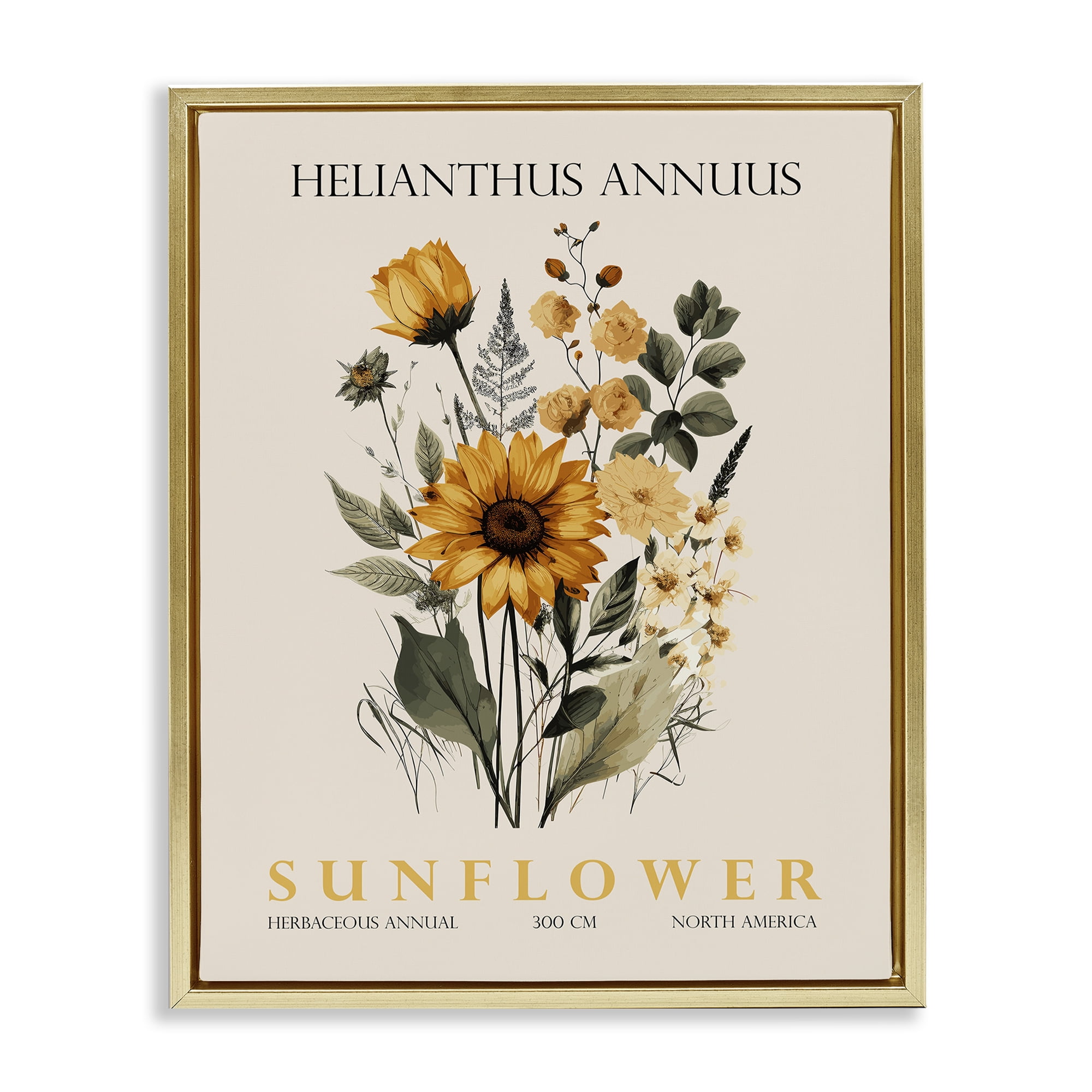 Stupell Industries Natural Sunflower Bundle Gold Framed Floater Canvas Wall Art, design by Christopher Giampietro