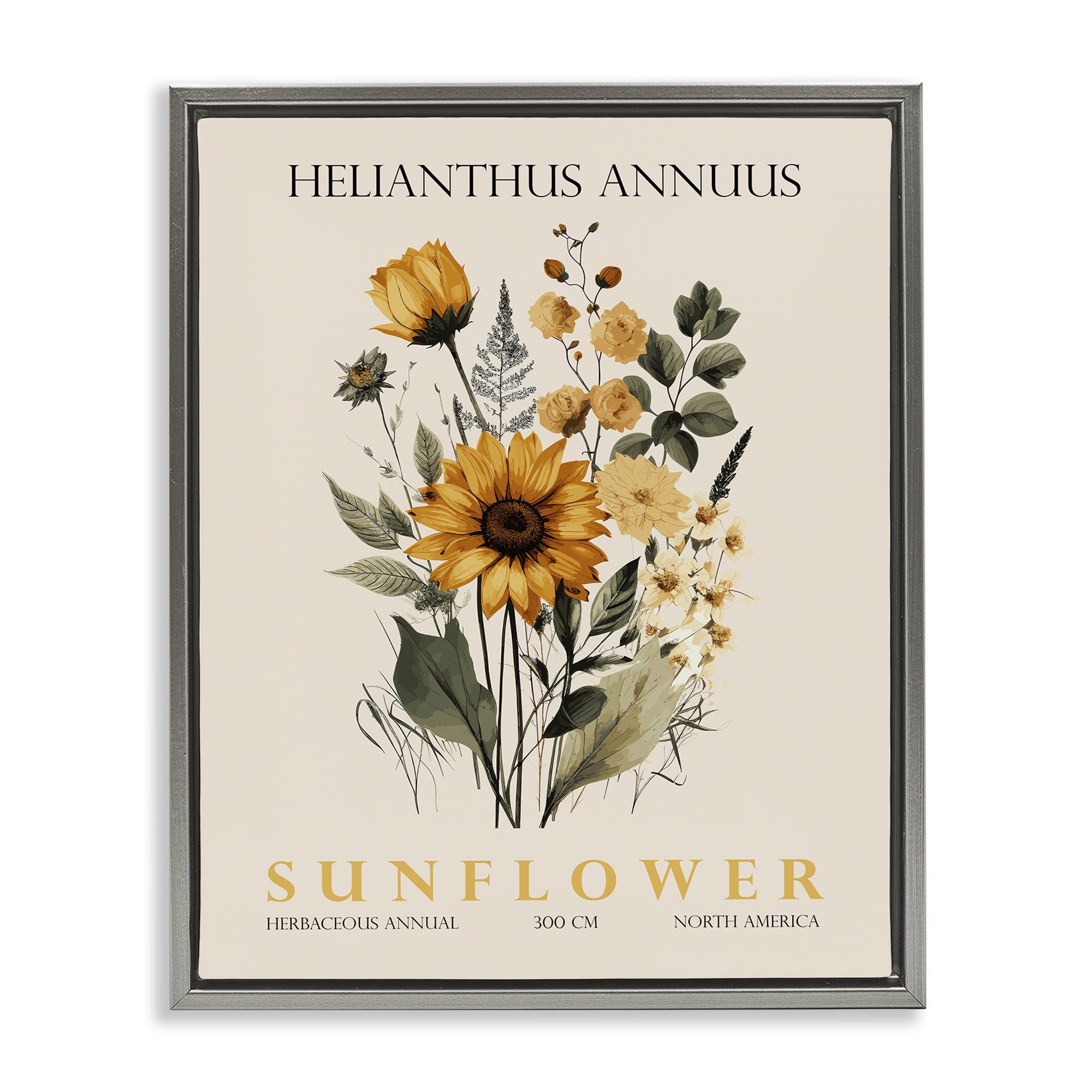 Stupell Industries Natural Sunflower Bundle Gray Framed Floater Canvas Wall Art, design by Christopher Giampietro