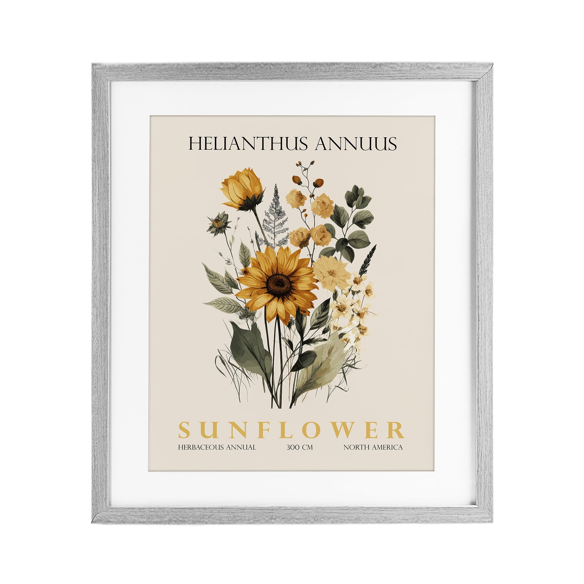 Stupell Industries Natural Sunflower Bundle Gray Framed Print Under Glass, design by Christopher Giampietro