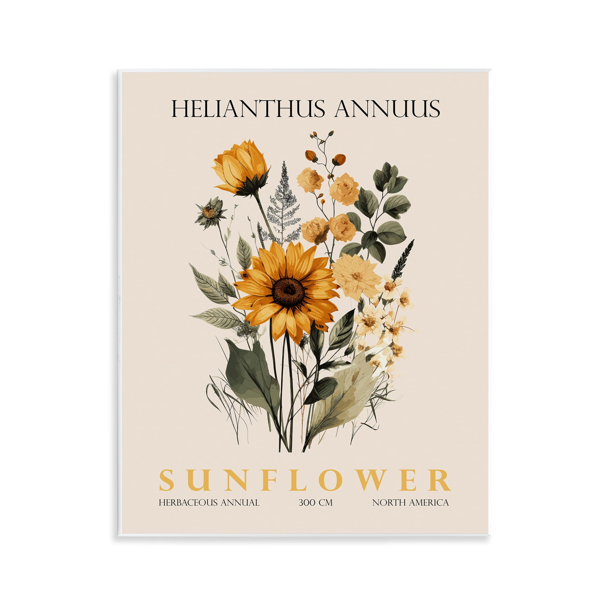 Stupell Industries Natural Sunflower Bundle Wall Plaque Art, design by Christopher Giampietro