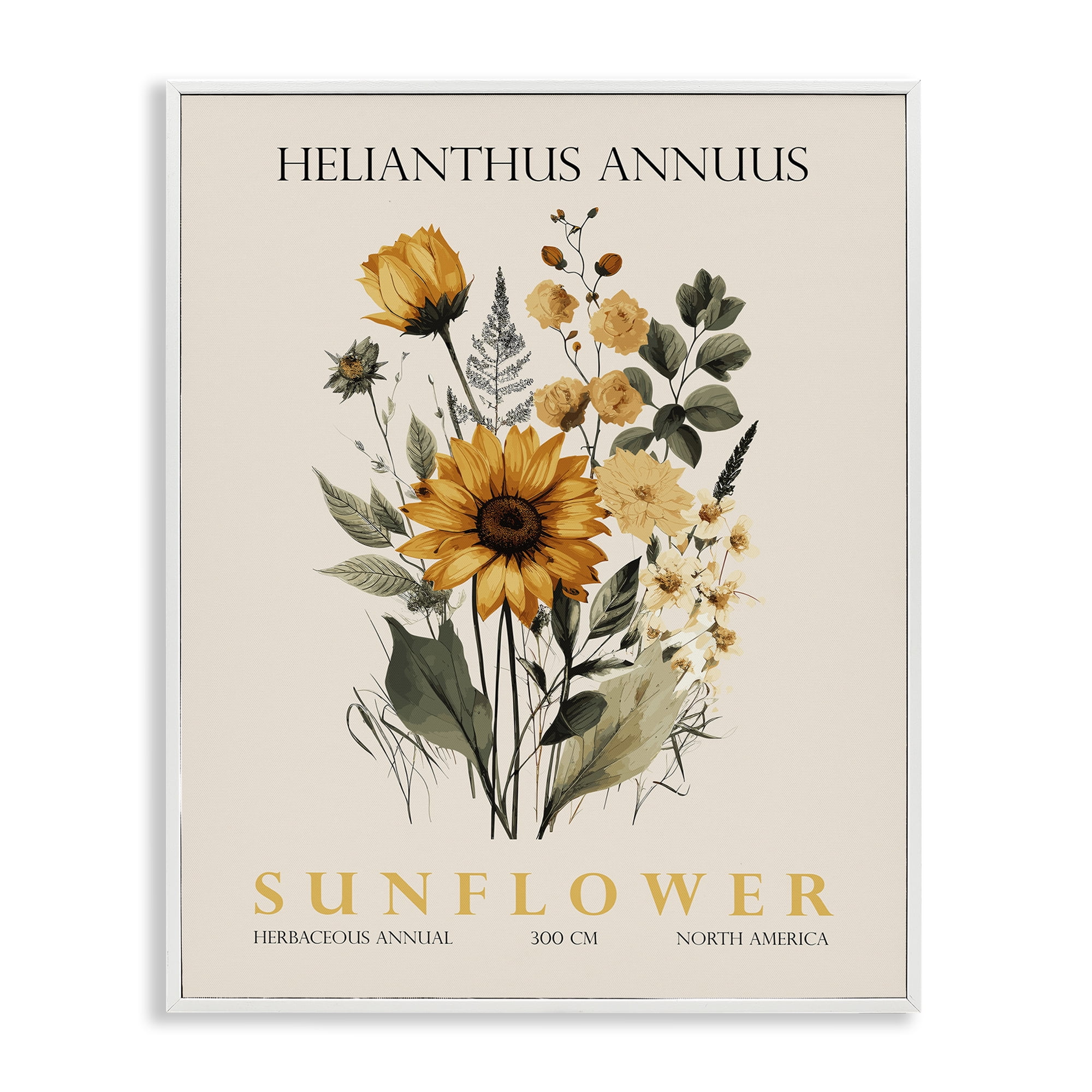 Stupell Industries Natural Sunflower Bundle White Framed Giclee Art, design by Christopher Giampietro