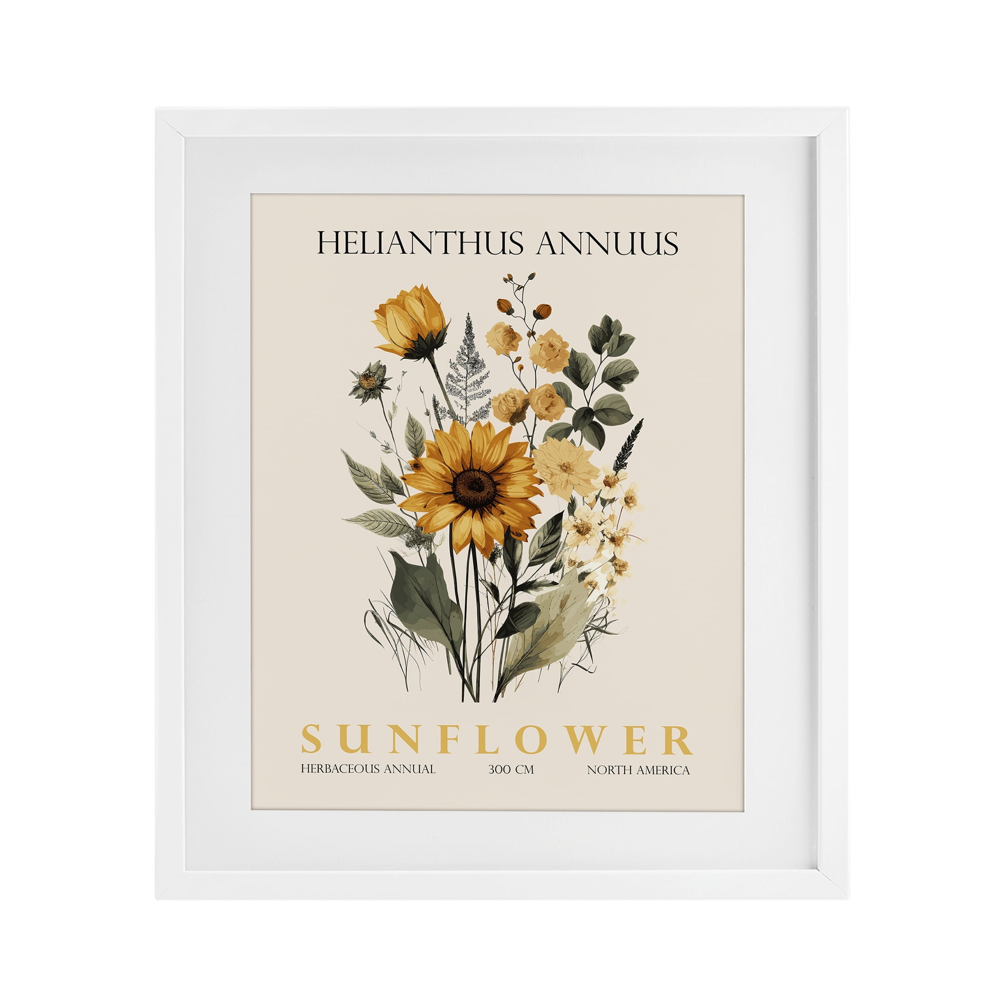 Stupell Industries Natural Sunflower Bundle White Framed Print Under Glass, design by Christopher Giampietro