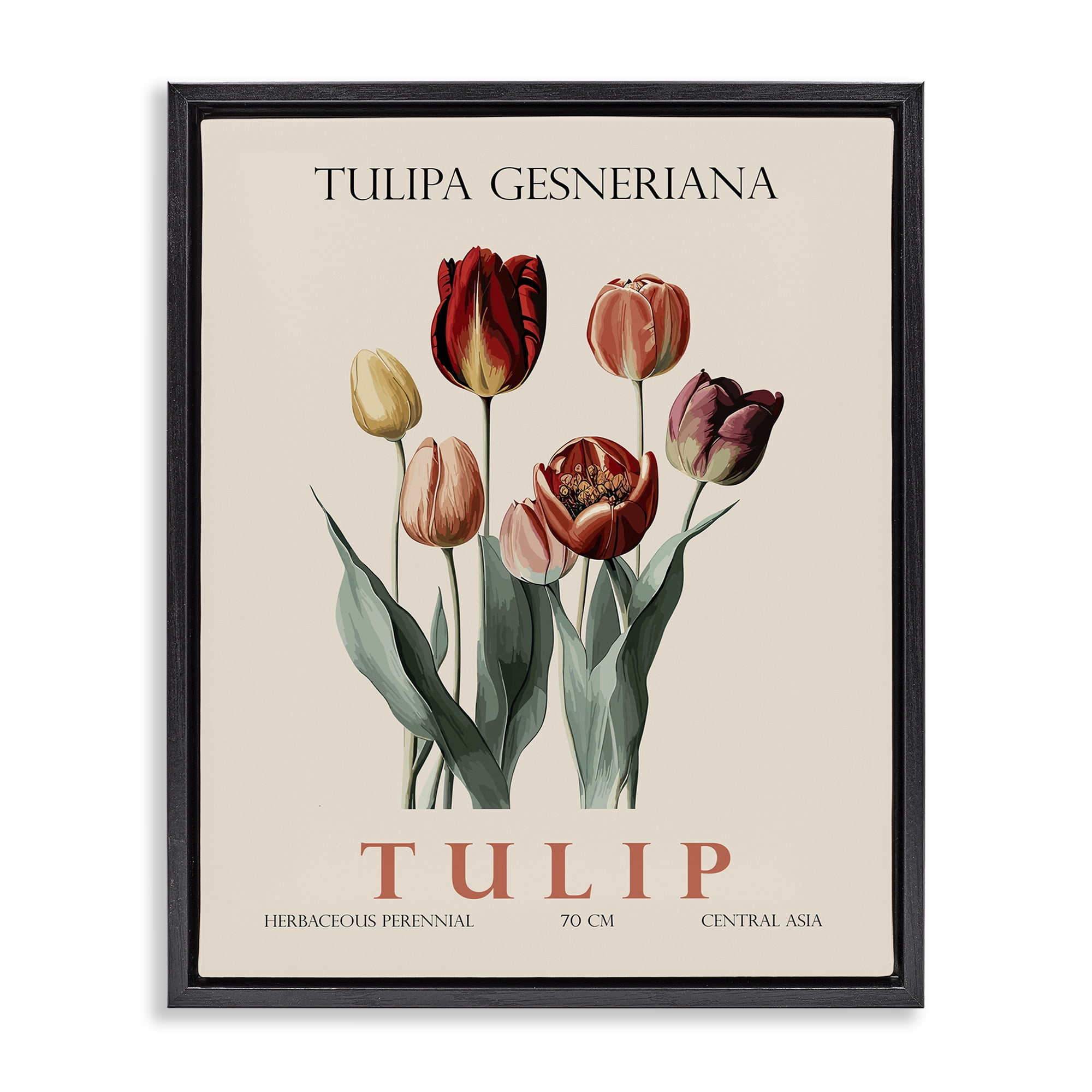 Stupell Industries Natural Tulip Bundle Black Framed Floater Canvas Wall Art, design by Christopher Giampietro