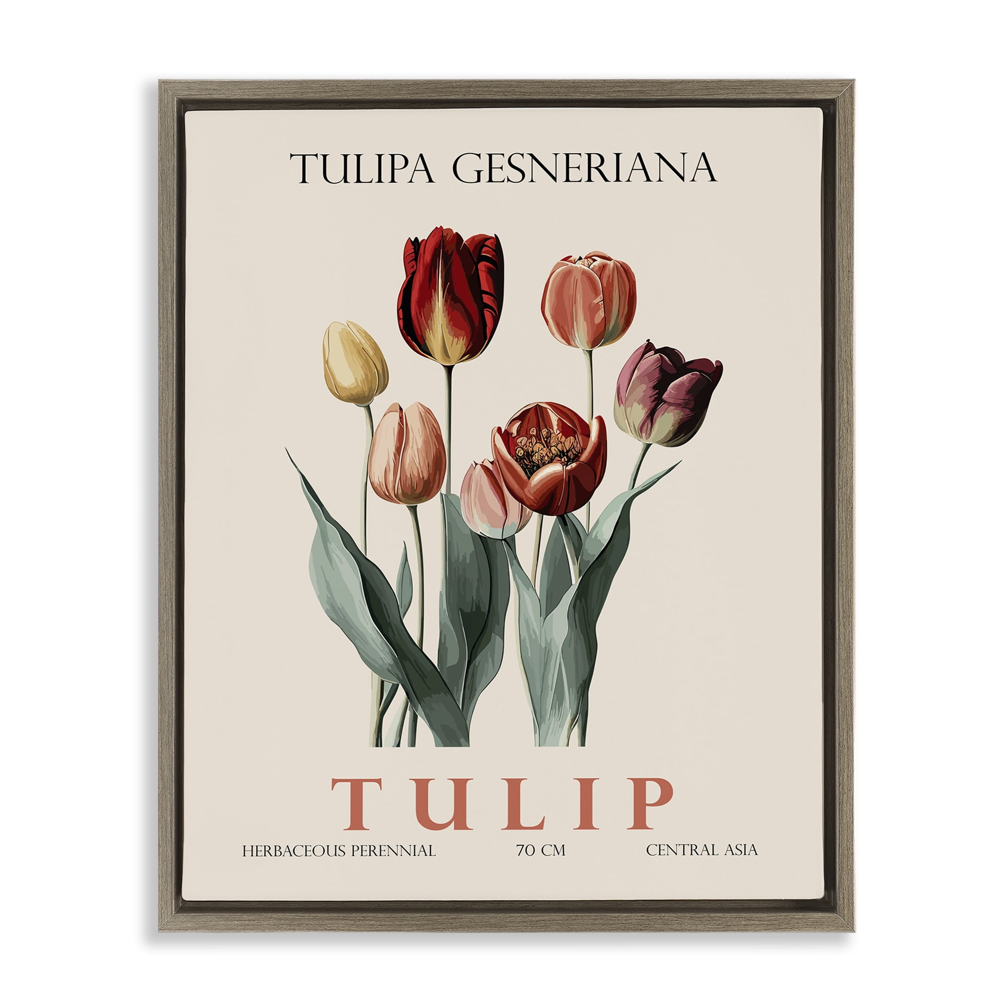 Stupell Industries Natural Tulip Bundle Brown Framed Floater Canvas Wall Art, design by Christopher Giampietro