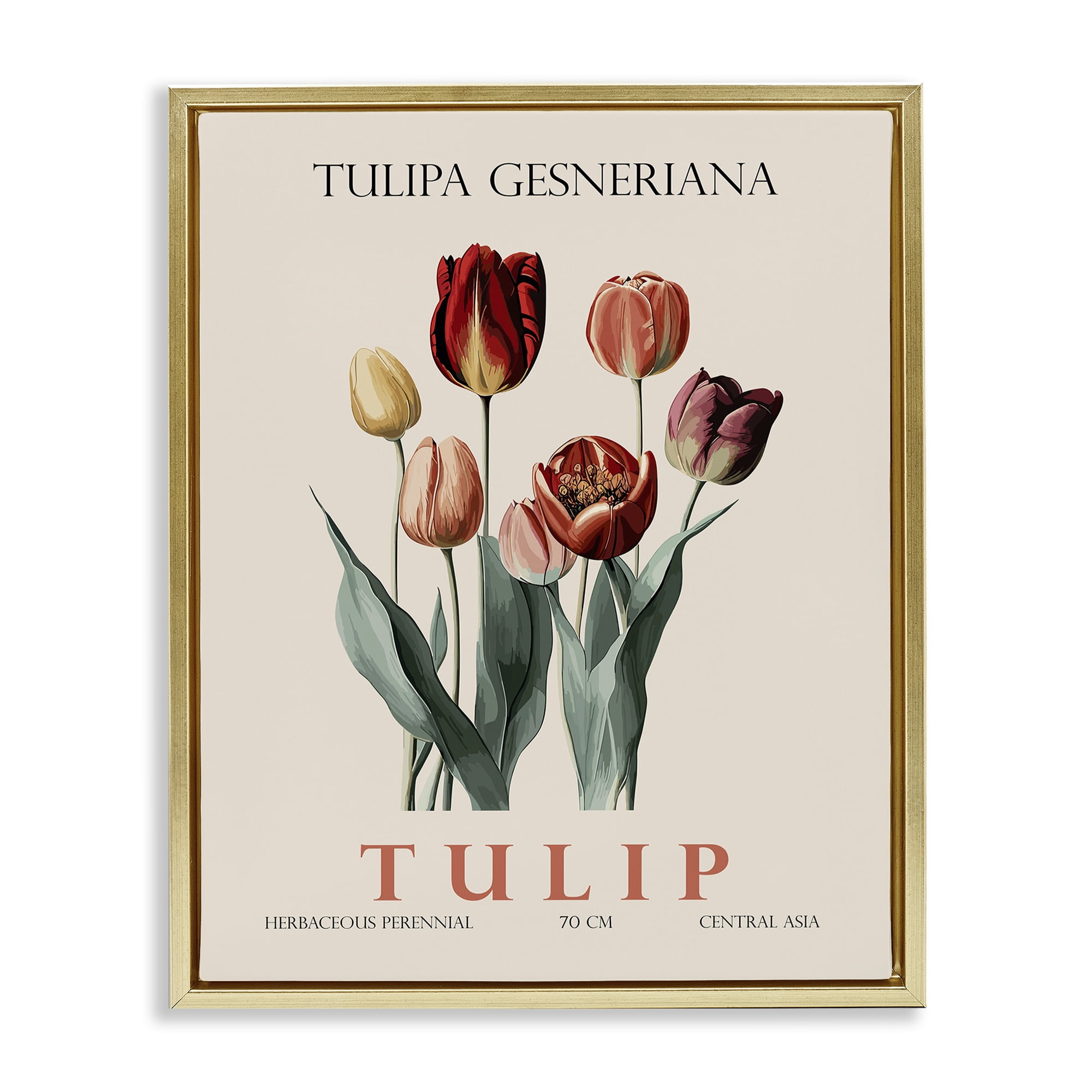 Stupell Industries Natural Tulip Bundle Gold Framed Floater Canvas Wall Art, design by Christopher Giampietro