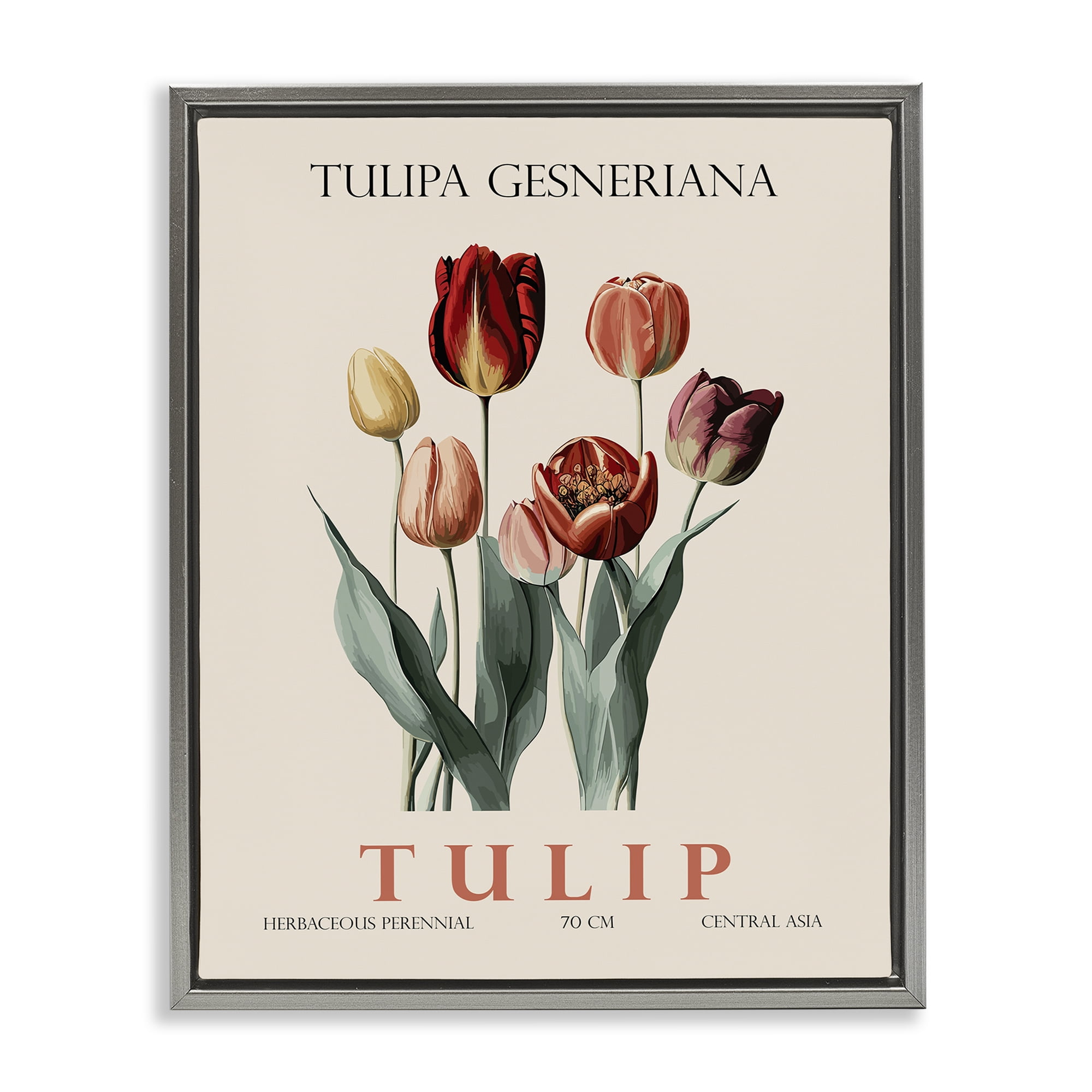 Stupell Industries Natural Tulip Bundle Gray Framed Floater Canvas Wall Art, design by Christopher Giampietro