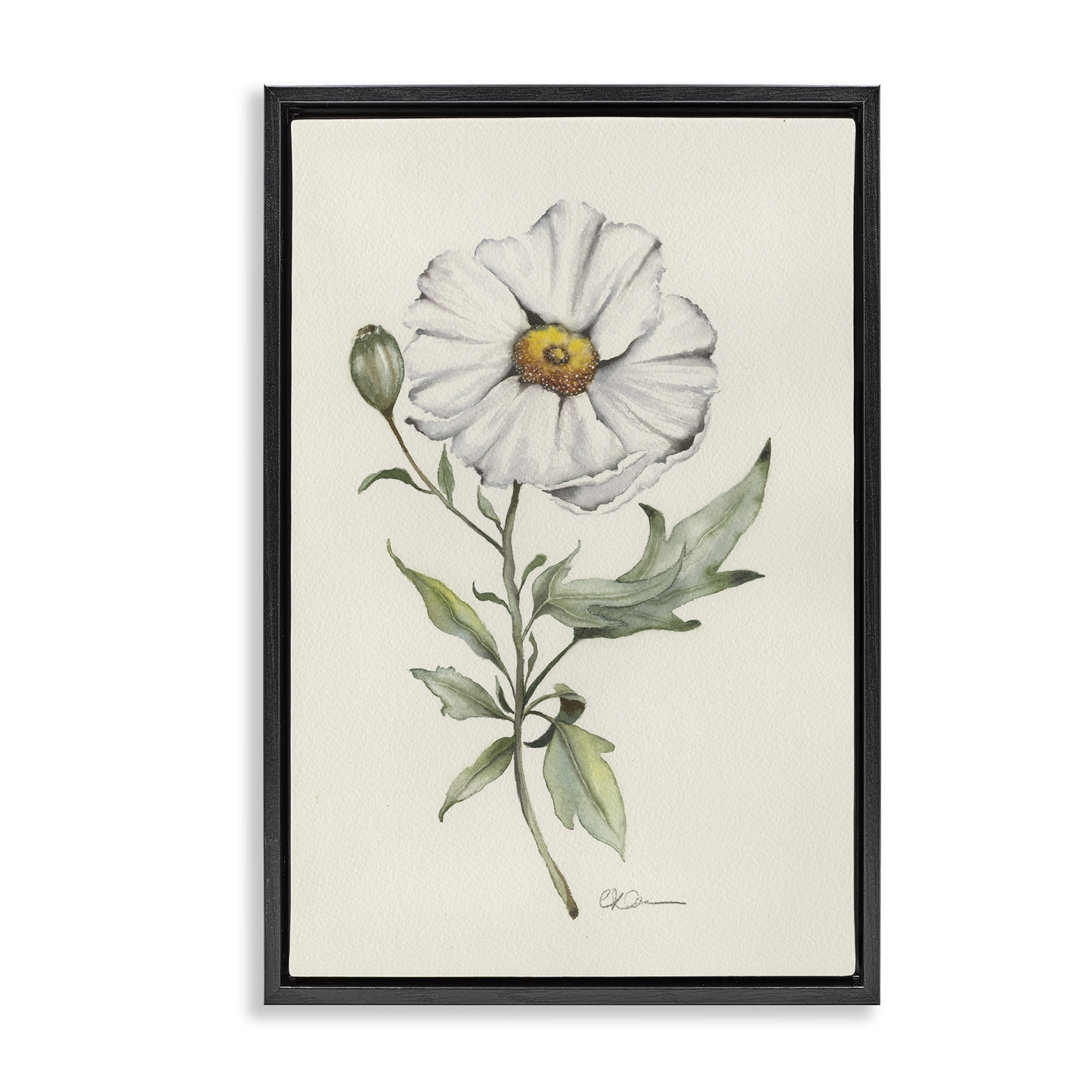 Stupell Industries Natural Wild Blossom Sprig Black Framed Floater Canvas Wall Art, design by Cady Driver
