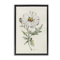 thumbnail image 1 of Stupell Industries Cottage Natural Wild Blossom Sprig Black Floating Frame Canvas Art, 17 x 25, by Cady Driver, 1 of 8