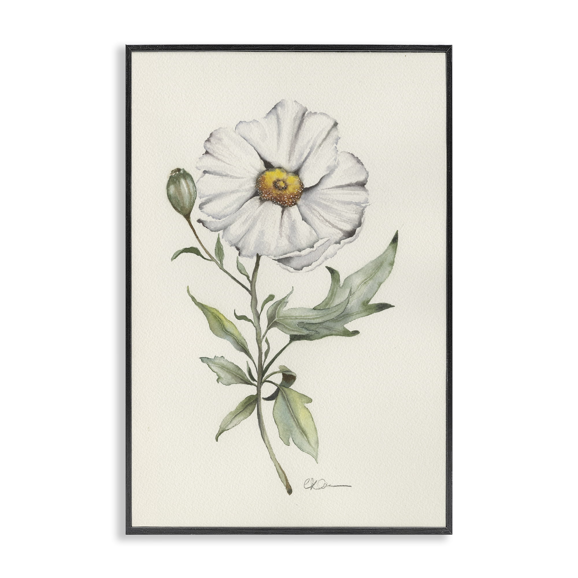 Stupell Industries Natural Wild Blossom Sprig Black Framed Giclee Art, design by Cady Driver