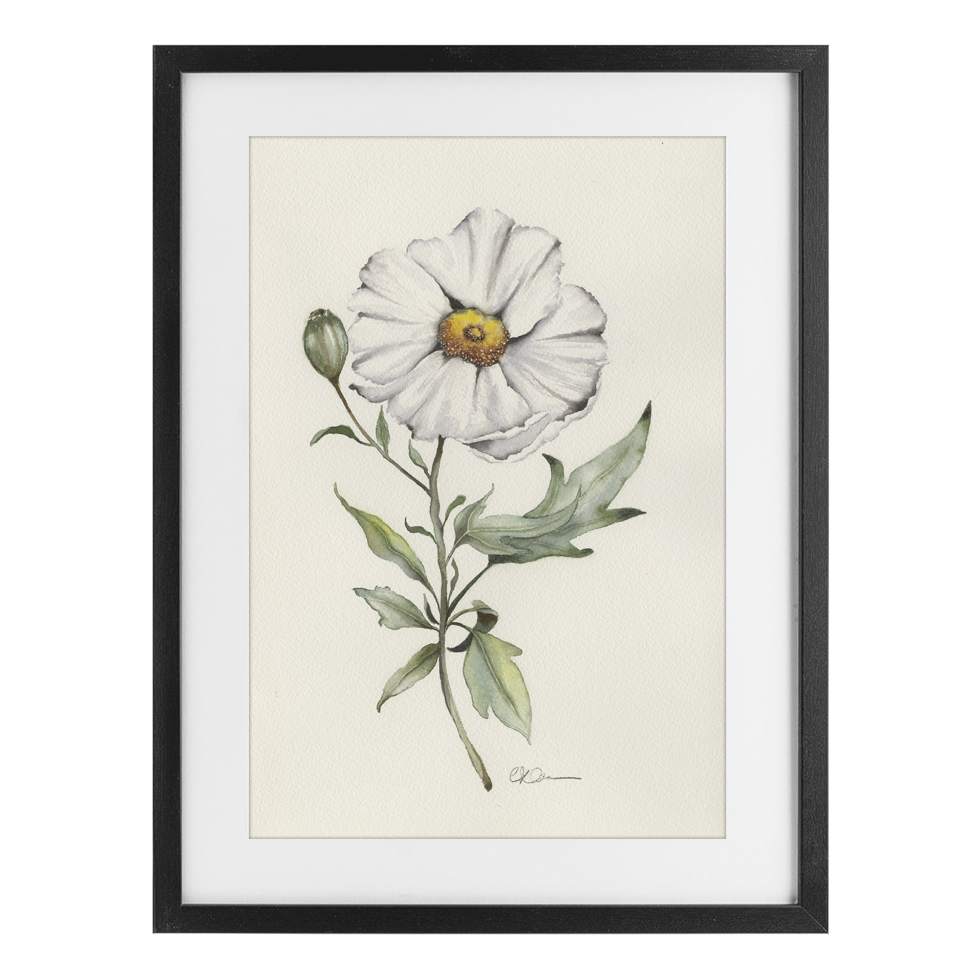 Stupell Industries Natural Wild Blossom Sprig Black Framed Print Under Glass, design by Cady Driver