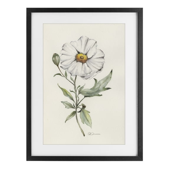 Stupell Industries Cottage Natural Wild Blossom Sprig Black Framed Print Under Glass, 14 x 20, by Cady Driver