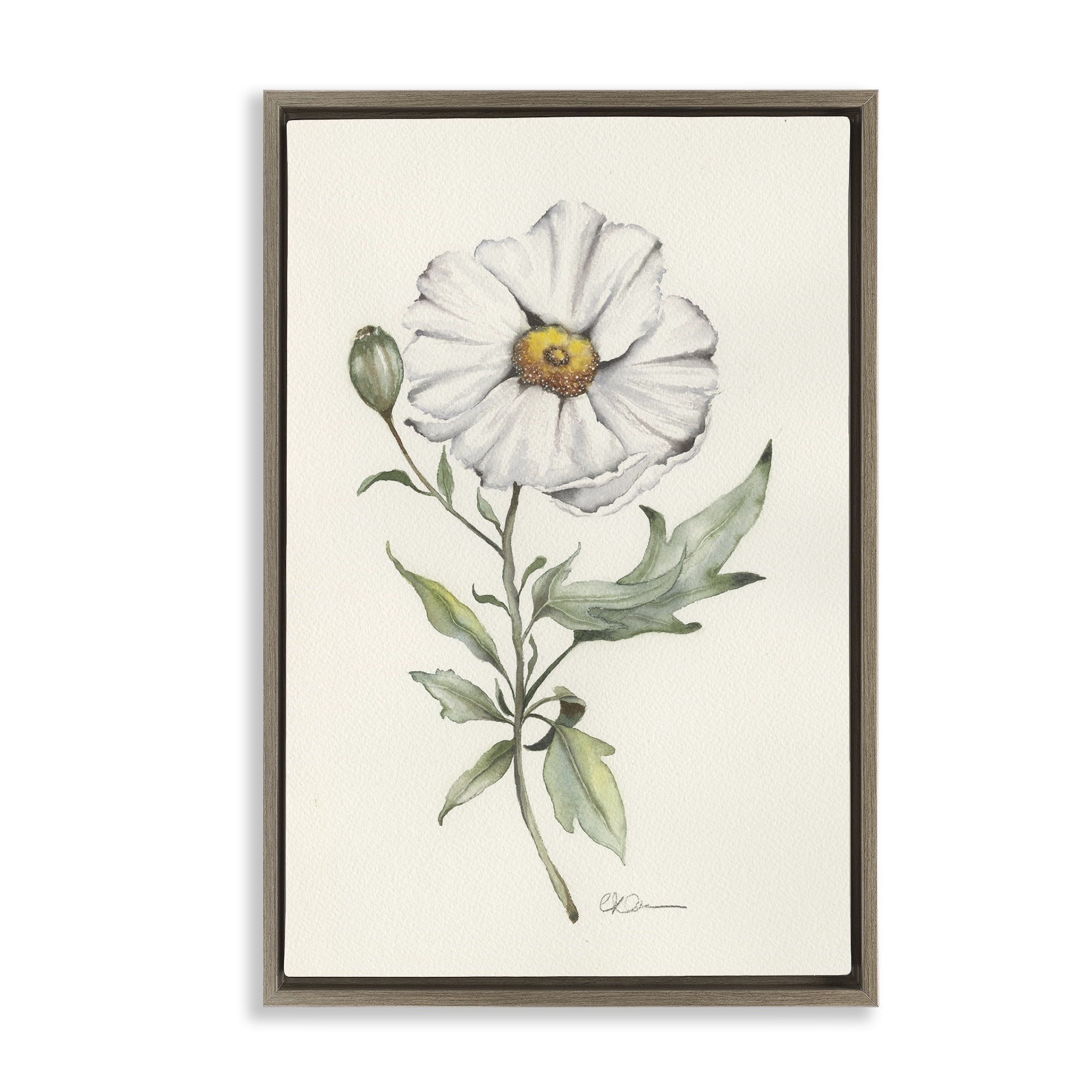 Stupell Industries Natural Wild Blossom Sprig Brown Framed Floater Canvas Wall Art, design by Cady Driver