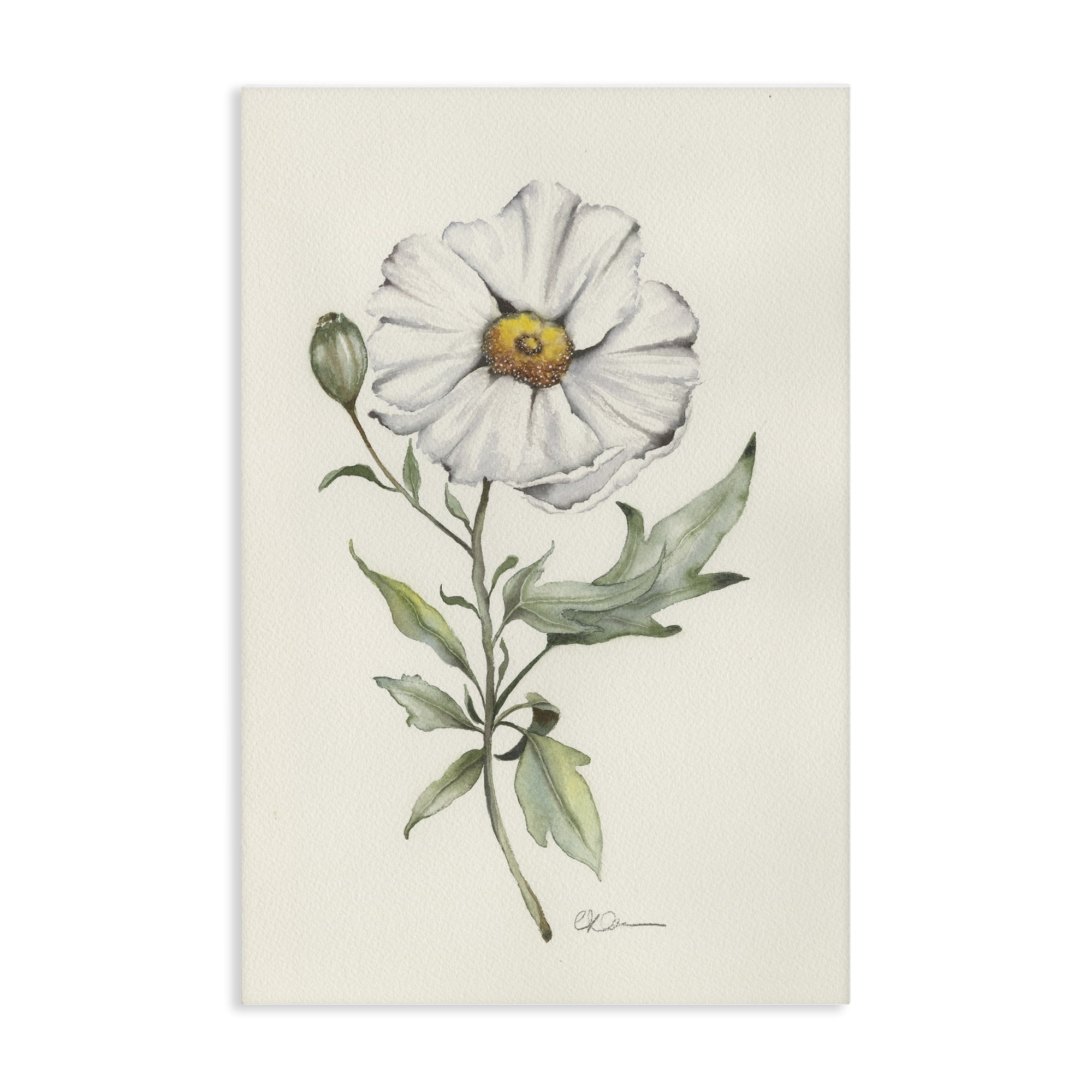 Stupell Industries Natural Wild Blossom Sprig Canvas Wall Art, design by Cady Driver