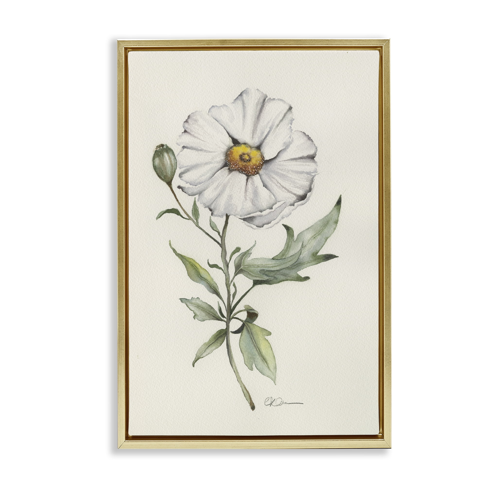 Stupell Industries Natural Wild Blossom Sprig Gold Framed Floater Canvas Wall Art, design by Cady Driver