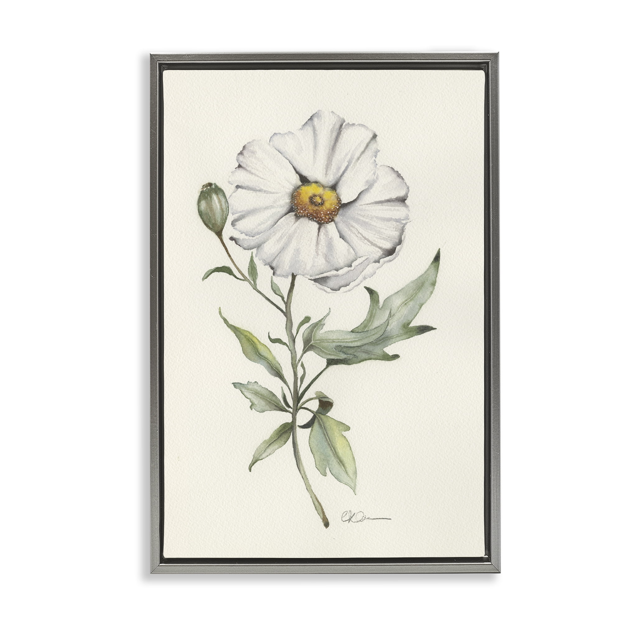 Stupell Industries Natural Wild Blossom Sprig Gray Framed Floater Canvas Wall Art, design by Cady Driver