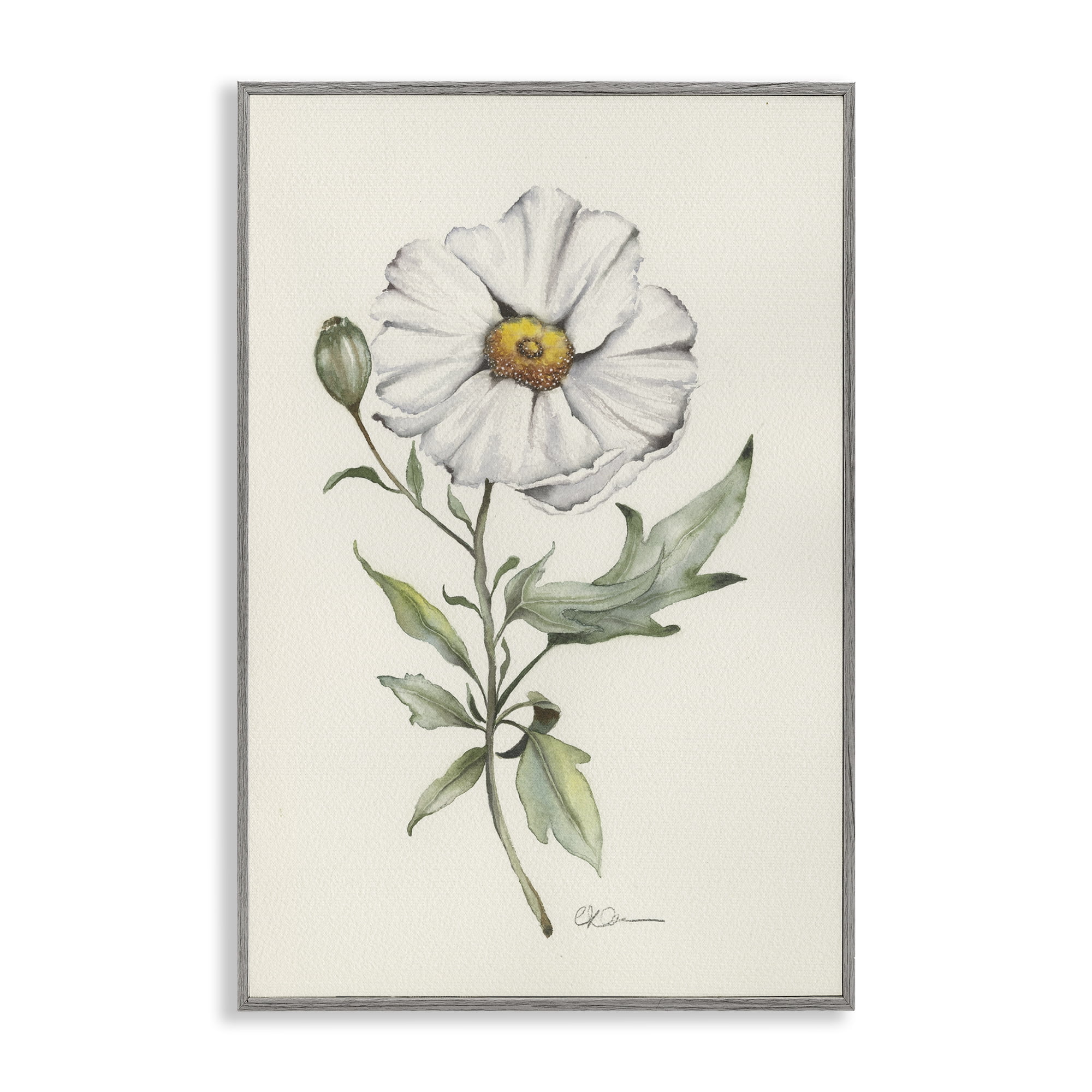 Stupell Industries Natural Wild Blossom Sprig Gray Framed Giclee Art, design by Cady Driver