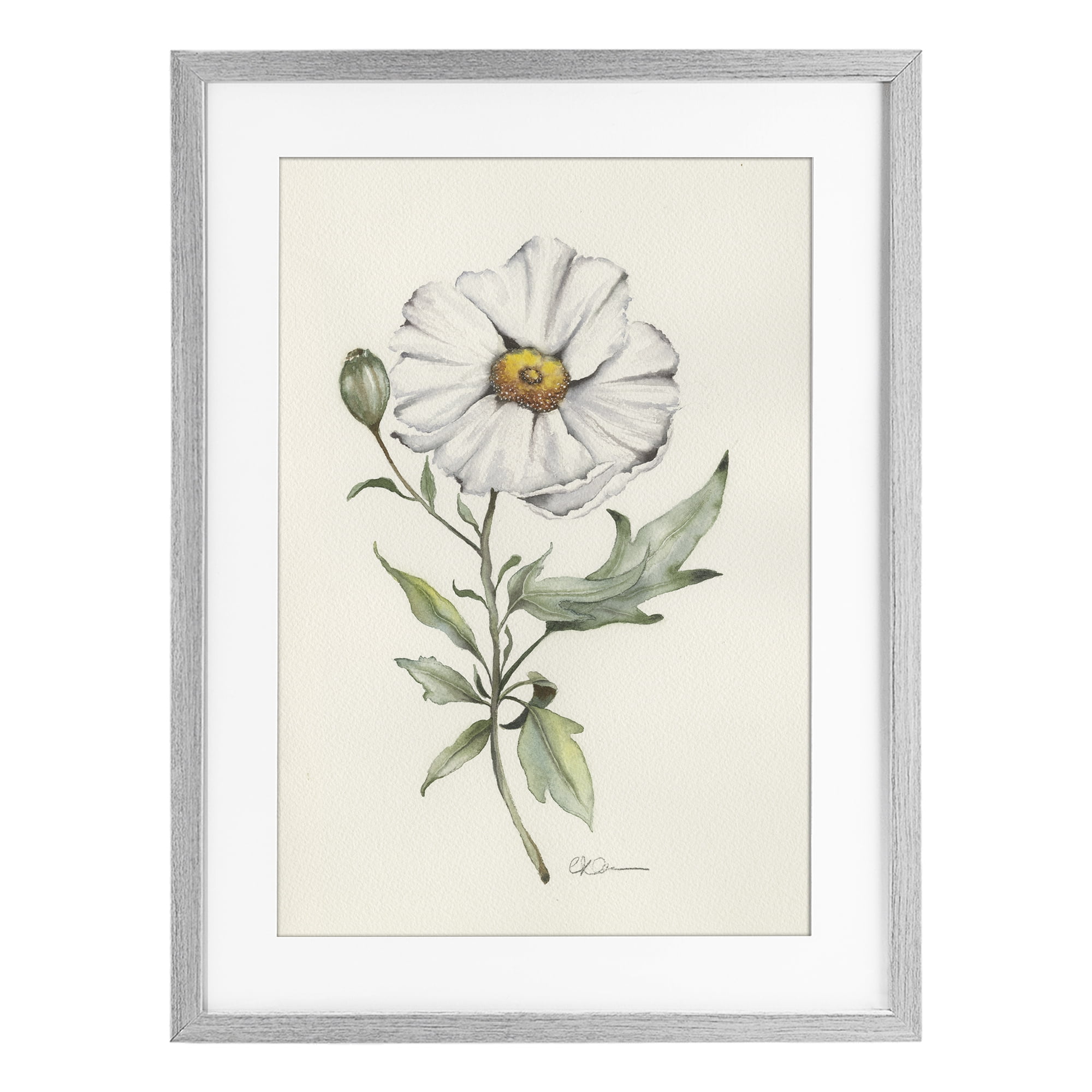 Stupell Industries Natural Wild Blossom Sprig Gray Framed Print Under Glass, design by Cady Driver