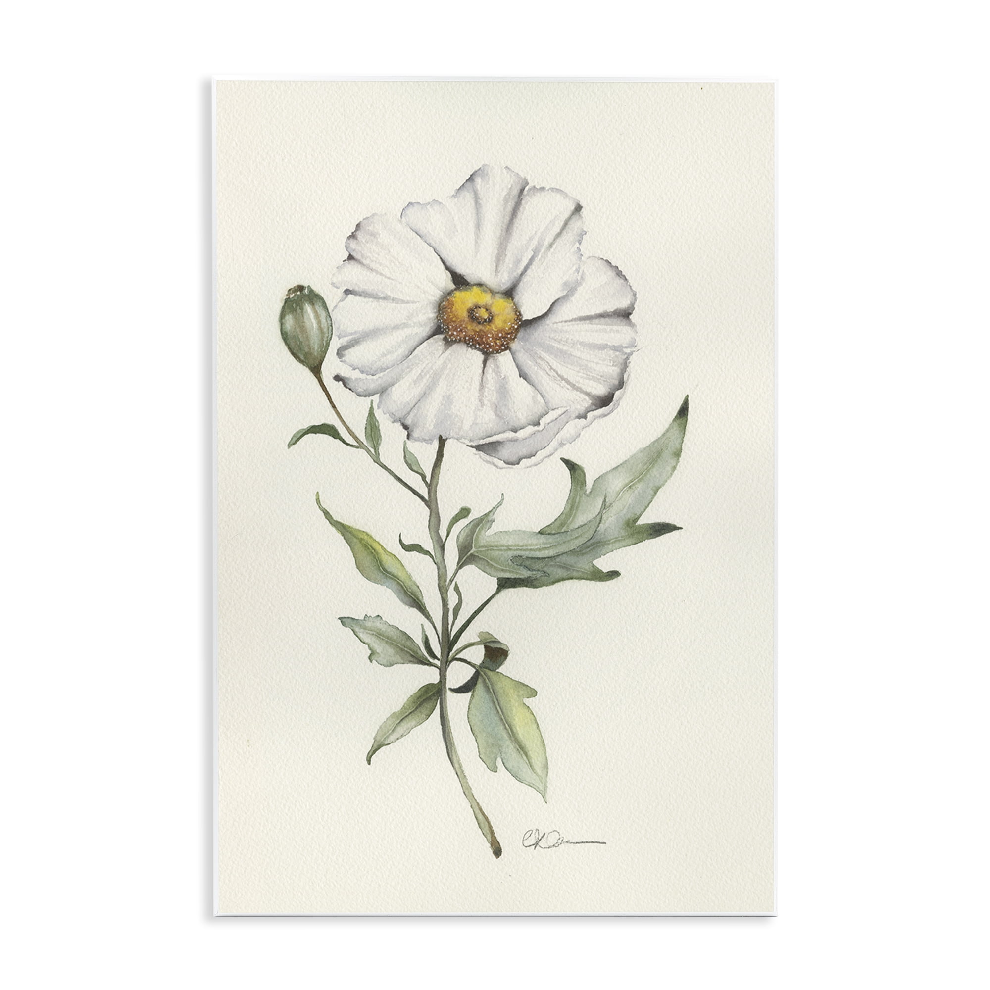 Stupell Industries Natural Wild Blossom Sprig Wall Plaque Art, design by Cady Driver