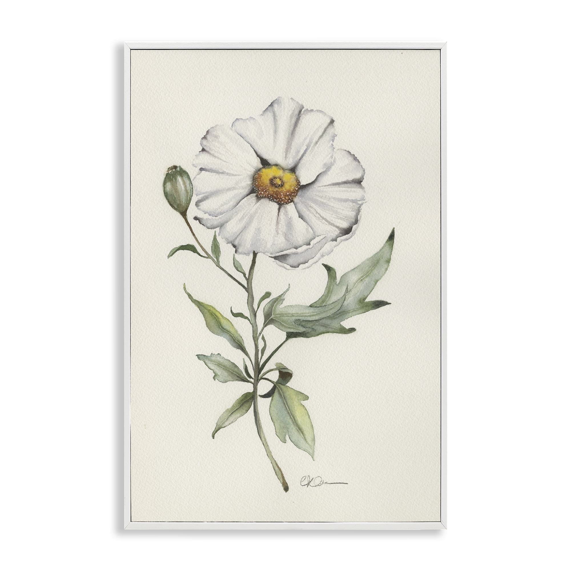Stupell Industries Natural Wild Blossom Sprig White Framed Giclee Art, design by Cady Driver