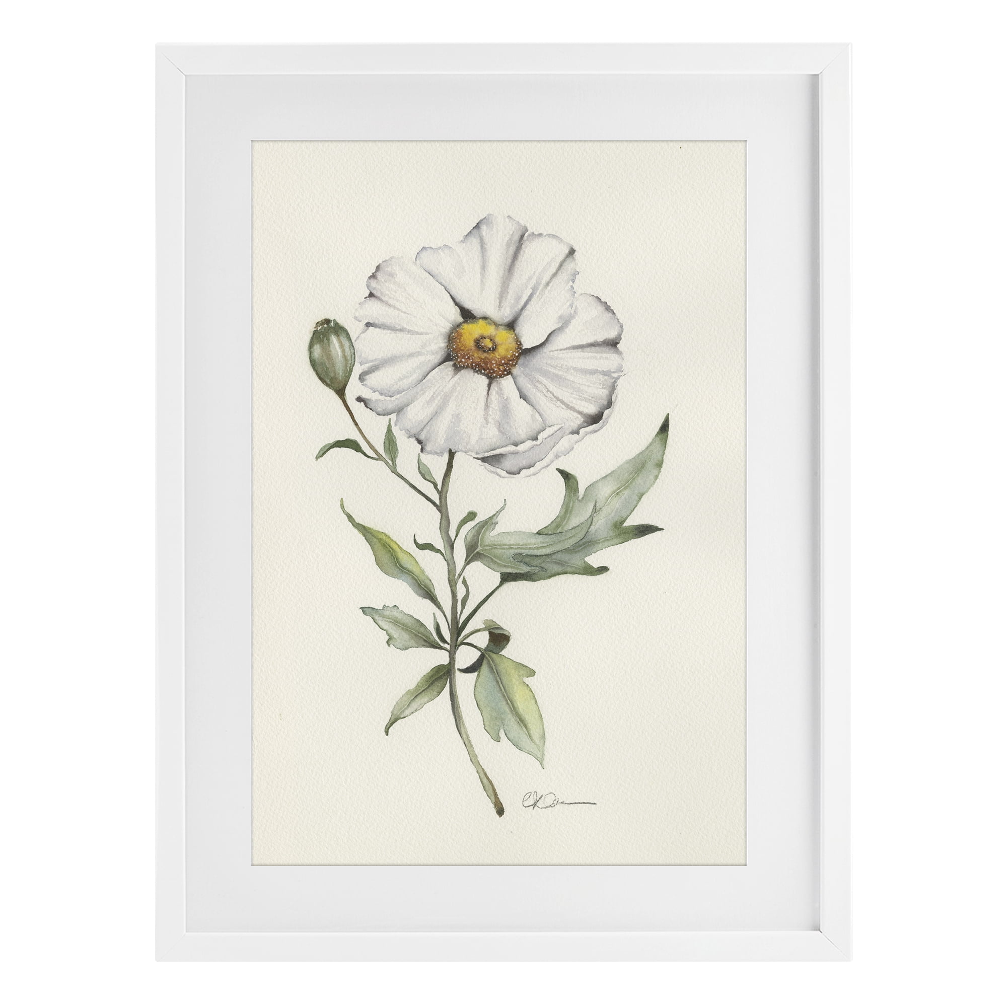 Stupell Industries Natural Wild Blossom Sprig White Framed Print Under Glass, design by Cady Driver