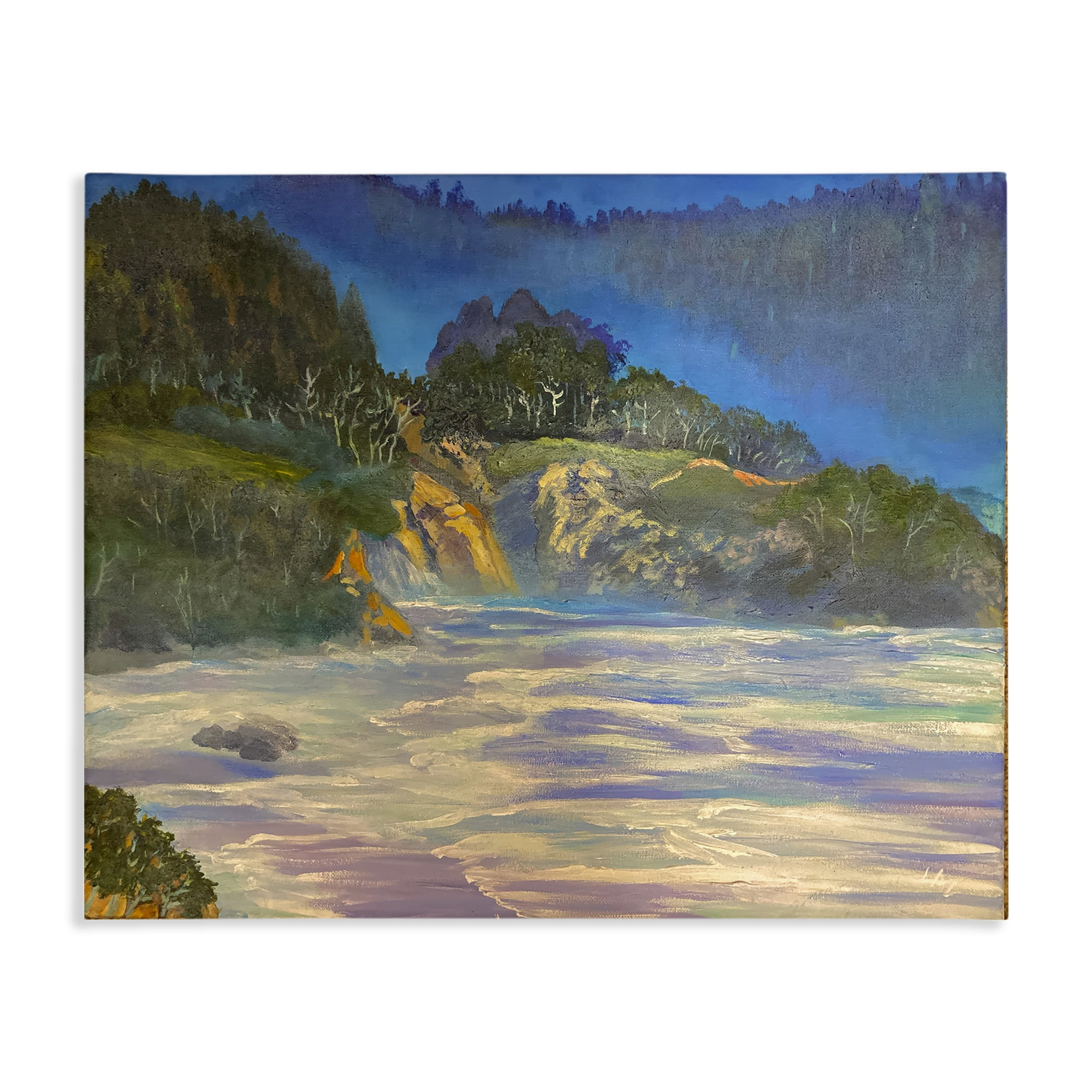 Stupell Industries Natural Wilderness Coastline Canvas Wall Art, design by Lee Ann Zirbes