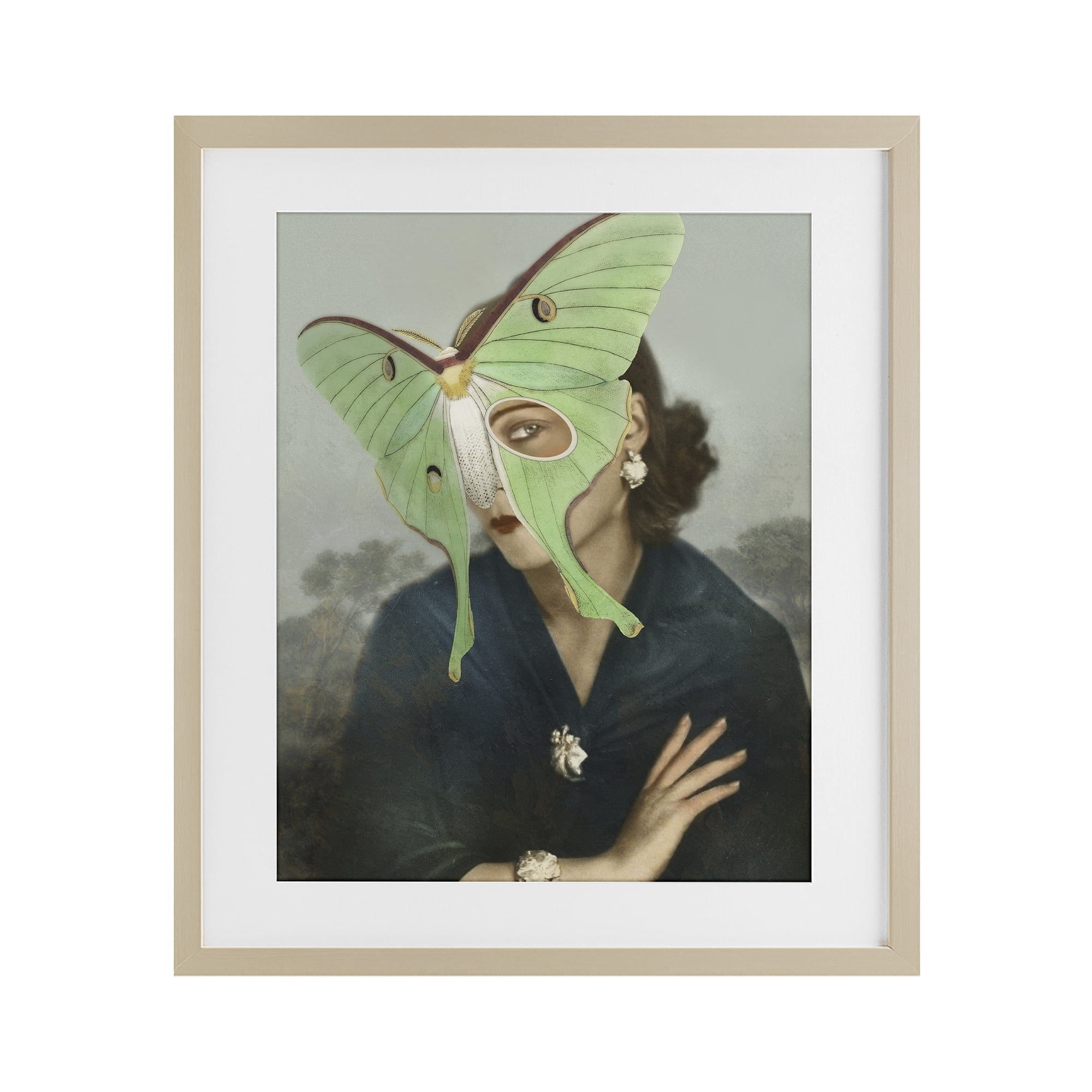 Stupell Industries Naturalist Portrait with Moth Birch Framed Print Under Glass, design by Victoria Barnes