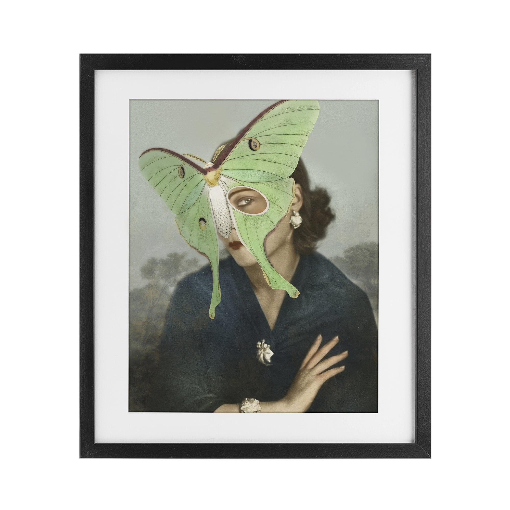 Stupell Industries Naturalist Portrait with Moth Black Framed Print Under Glass, design by Victoria Barnes