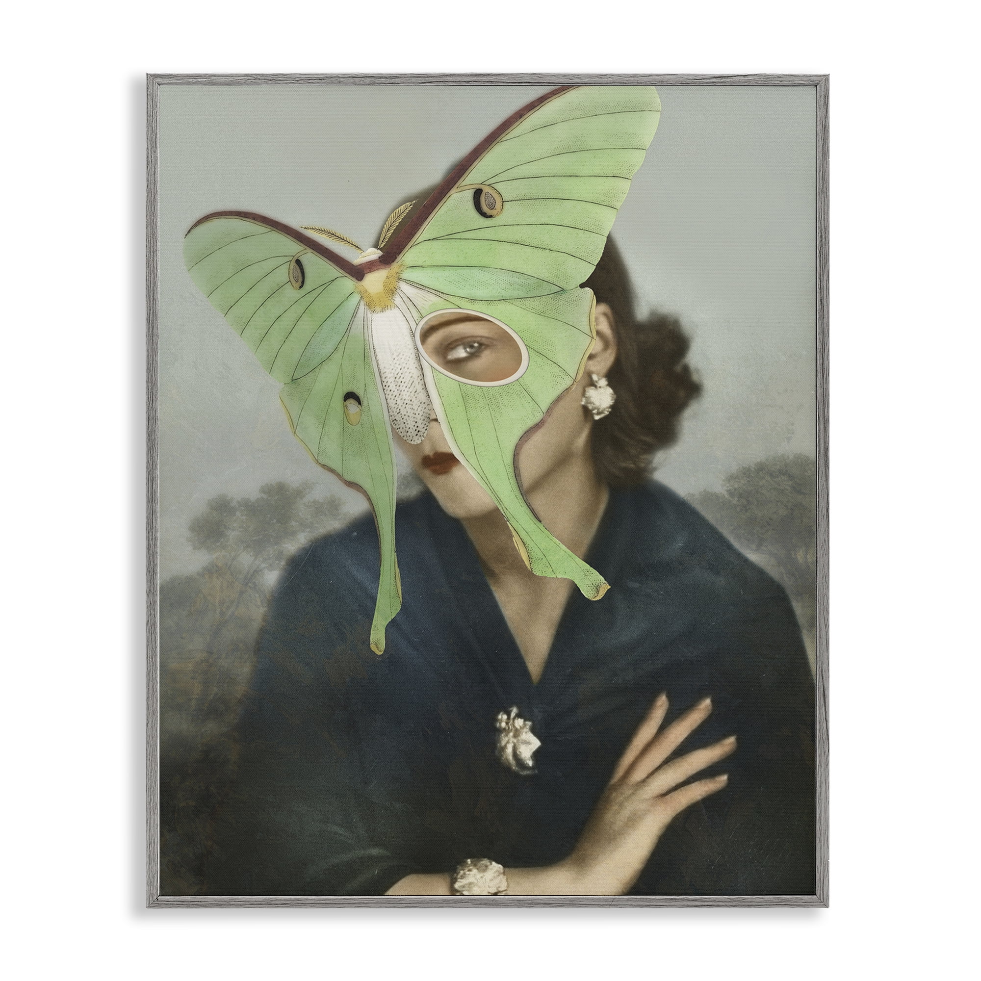 Stupell Industries Naturalist Portrait with Moth Gray Framed Giclee Art, design by Victoria Barnes