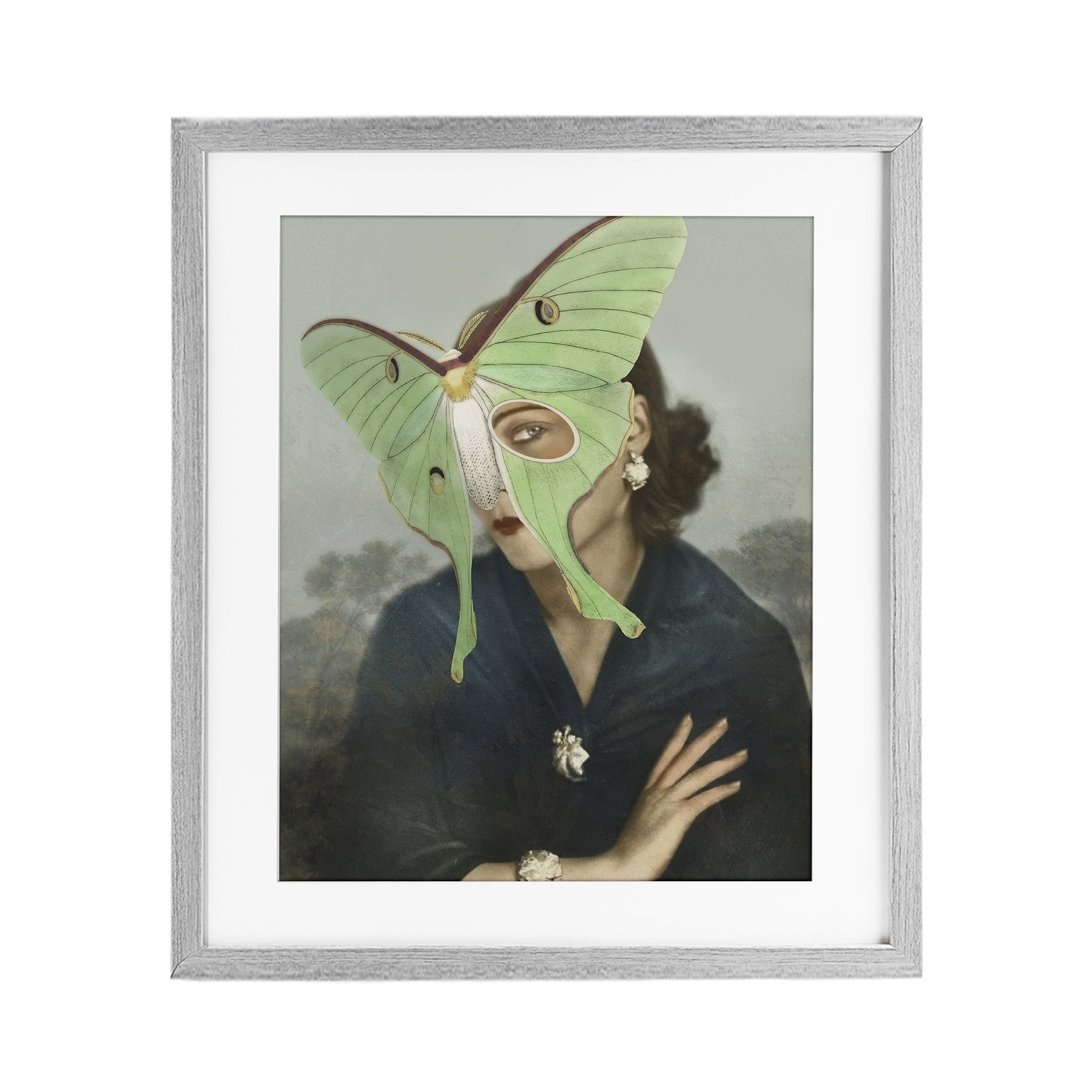 Stupell Industries Naturalist Portrait with Moth Gray Framed Print Under Glass, design by Victoria Barnes