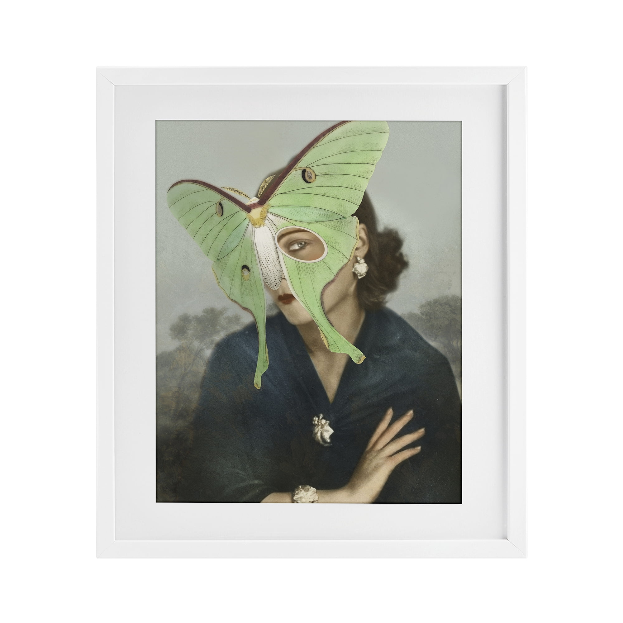 Stupell Industries Naturalist Portrait with Moth White Framed Print Under Glass, design by Victoria Barnes