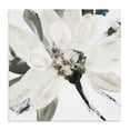 thumbnail image 1 of Stupell Industries Shabby Chic Naturally Blooming Botanical Canvas Art, 24 x 24, by Lanie Loreth, 1 of 8
