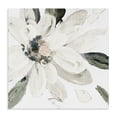 thumbnail image 1 of Stupell Industries Shabby Chic Naturally Blooming White Flower Canvas Art, 36 x 36, by Lanie Loreth, 1 of 8