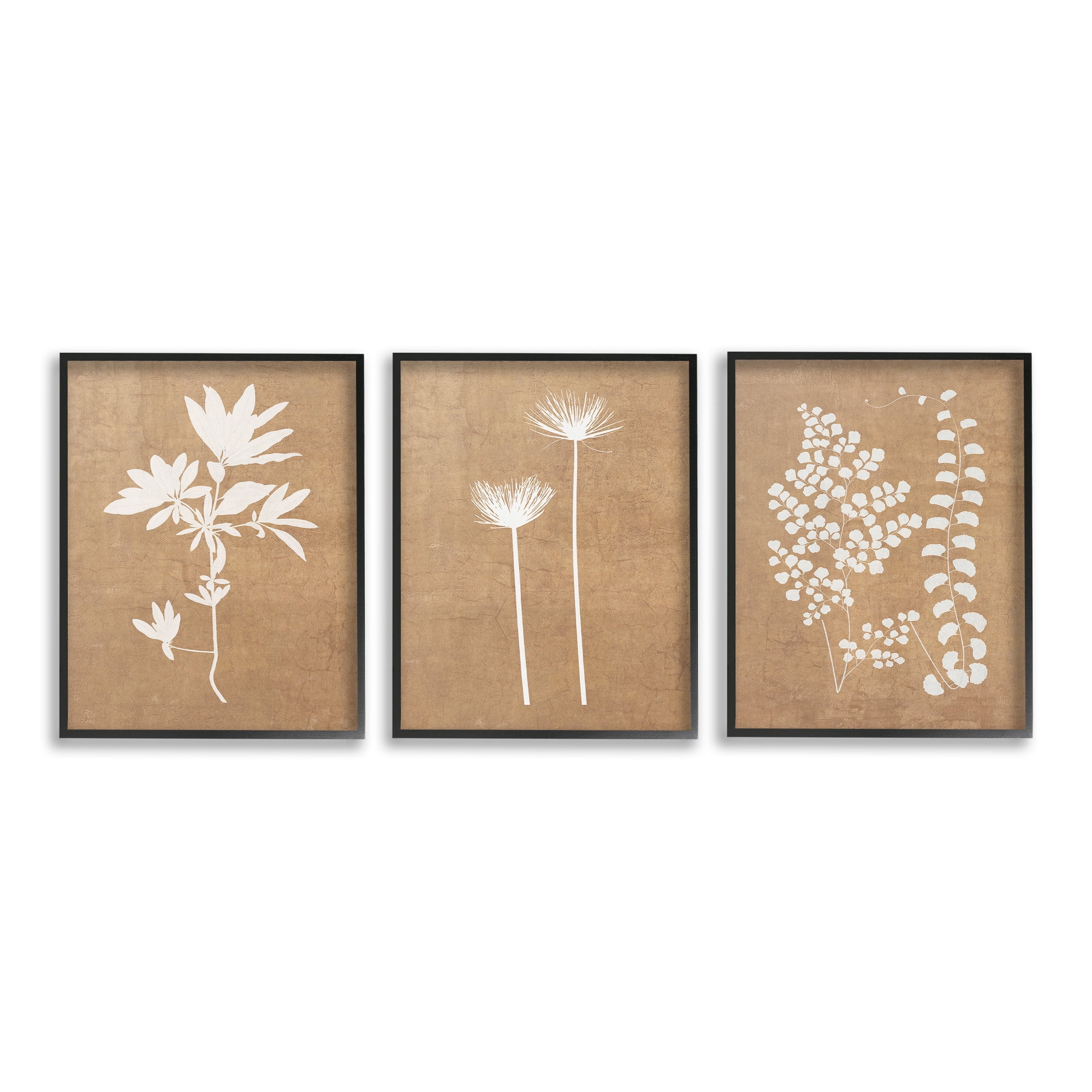 Stupell Industries Nature Botanical Silhouettes Botanical & Floral Painting Black Framed Art Print Wall Art, 11 x 14, Set of 3