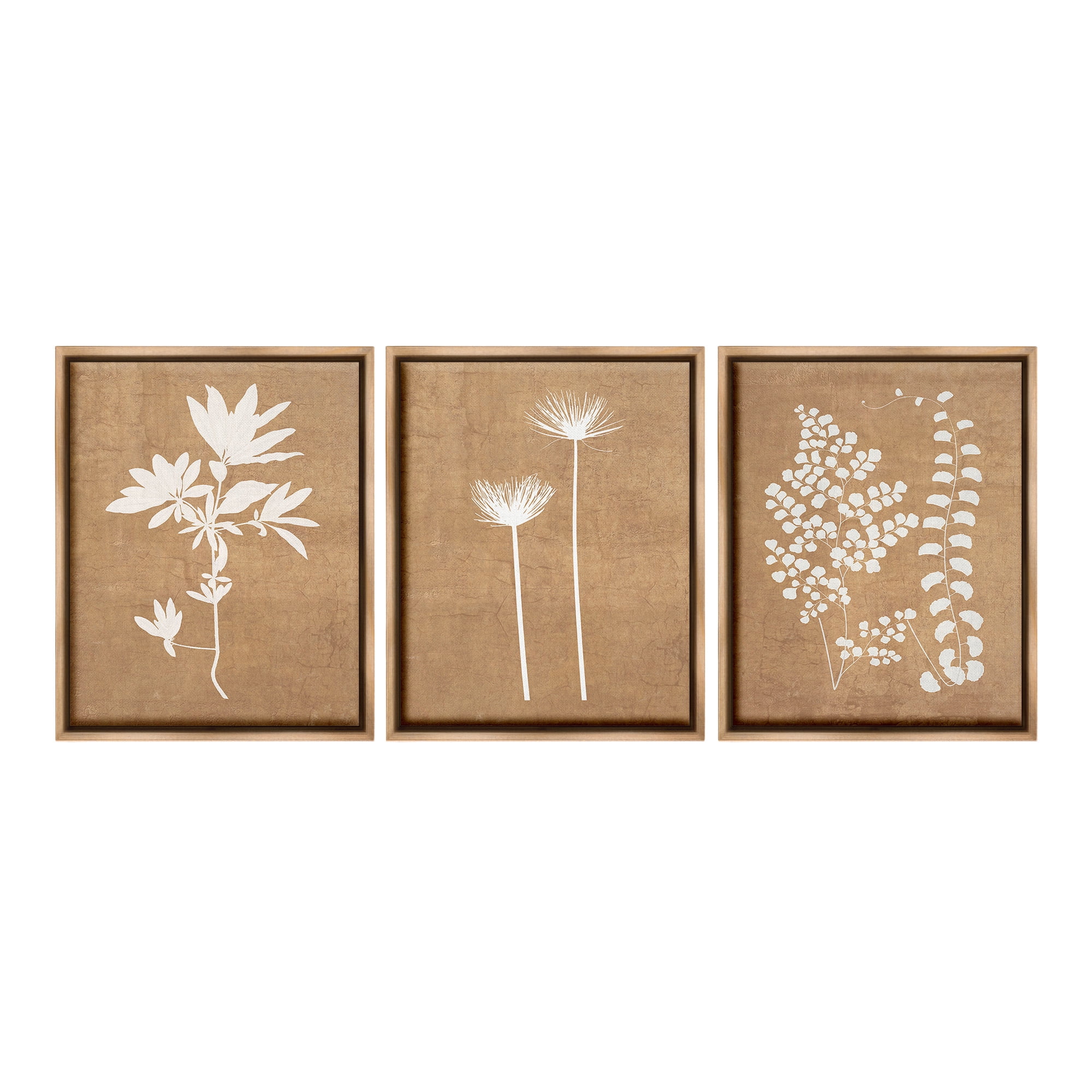 Stupell Industries Nature Botanical Silhouettes Botanical & Floral Painting Brown Floater Framed Canvas Art Print Wall Art, 25 x 31, Set of 3