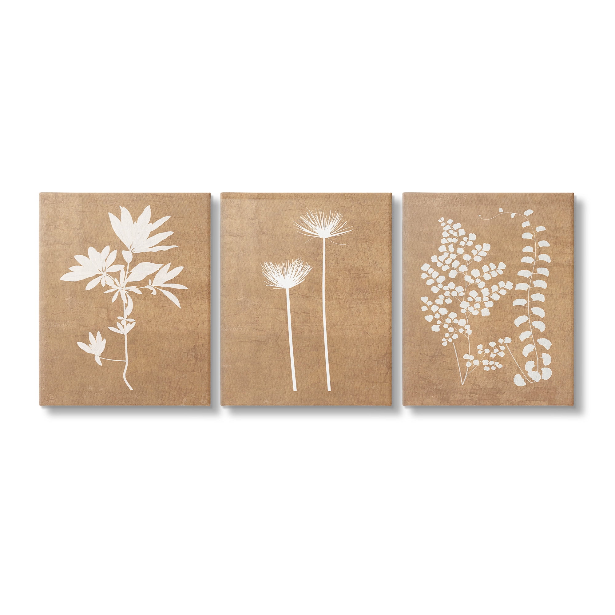 Nature Botanical Silhouettes Beige and White Canvas Art Set