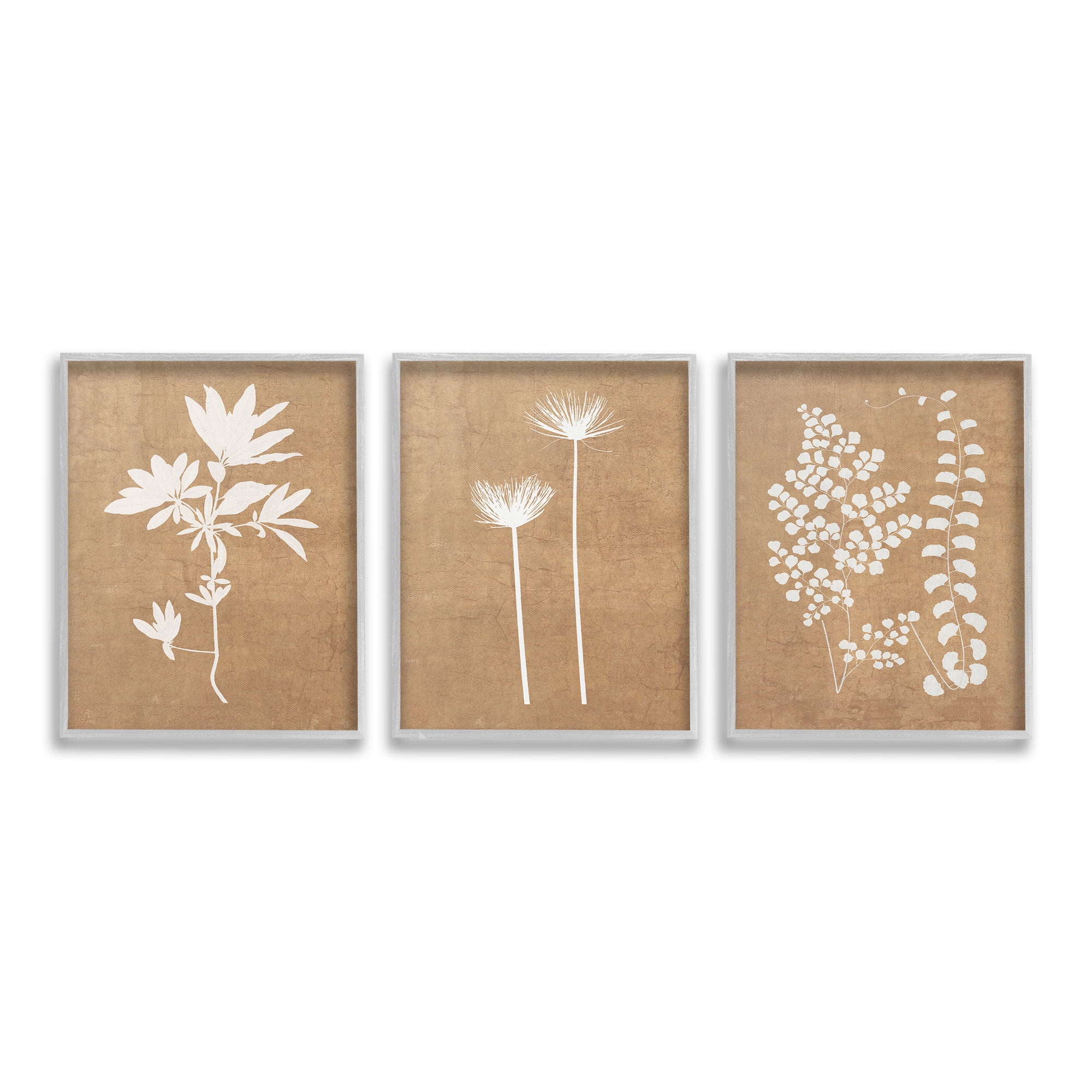 Stupell Industries Nature Botanical Silhouettes Botanical & Floral Painting Gray Framed Art Print Wall Art, 16 x 20, Set of 3