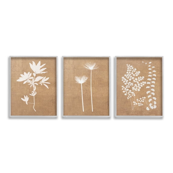Stupell Industries Nature Botanical Silhouettes Botanical & Floral Painting Gray Framed Art Print Wall Art, 16 x 20, Set of 3