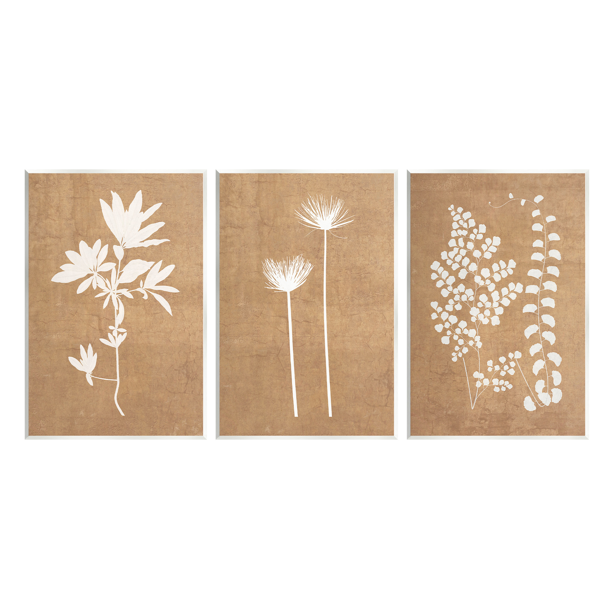 Stupell Industries Nature Botanical Silhouettes Botanical & Floral Painting Unframed Art Print Wall Art, 10 x 15, Set of 3